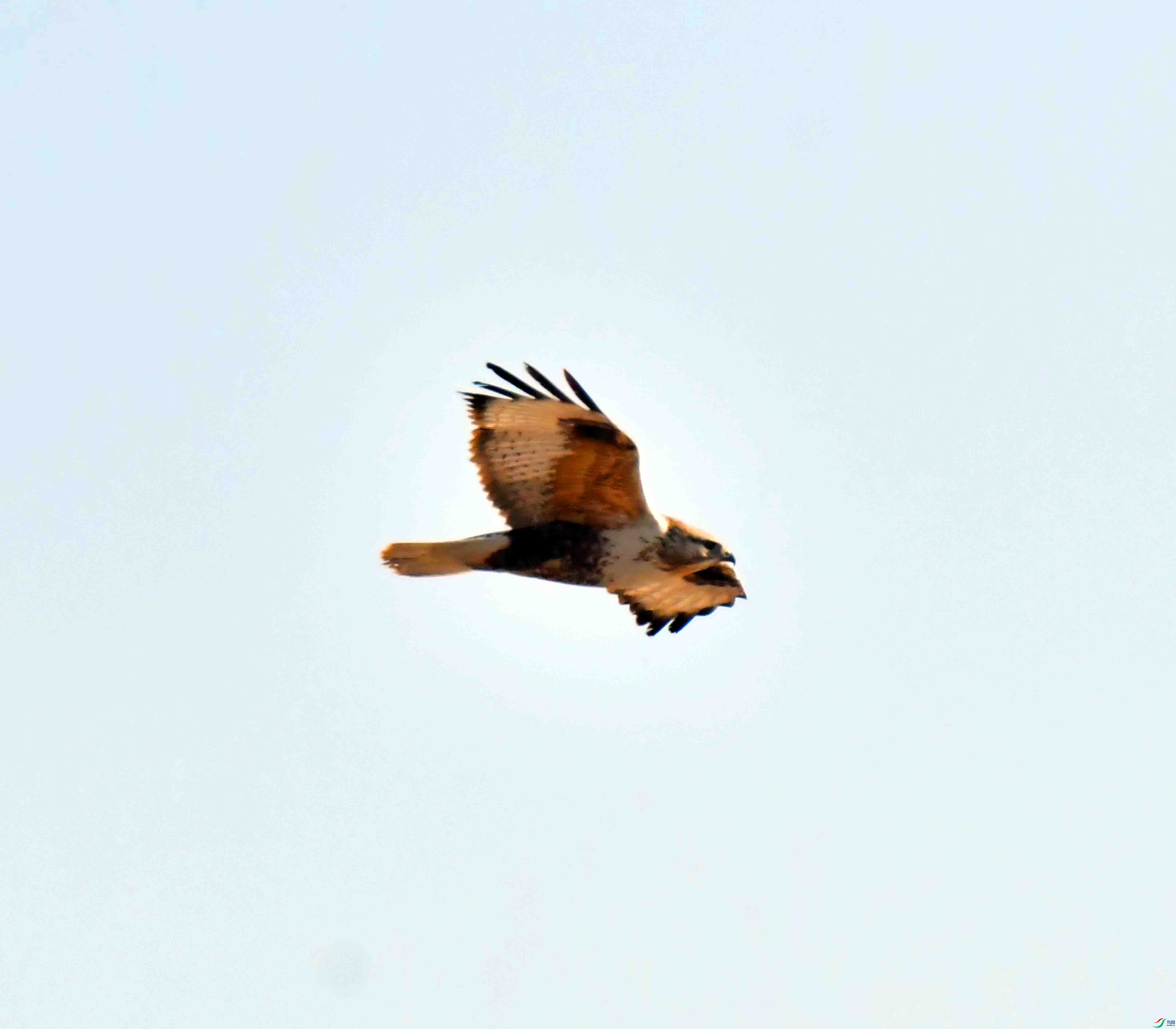 DSC_9070.JPG