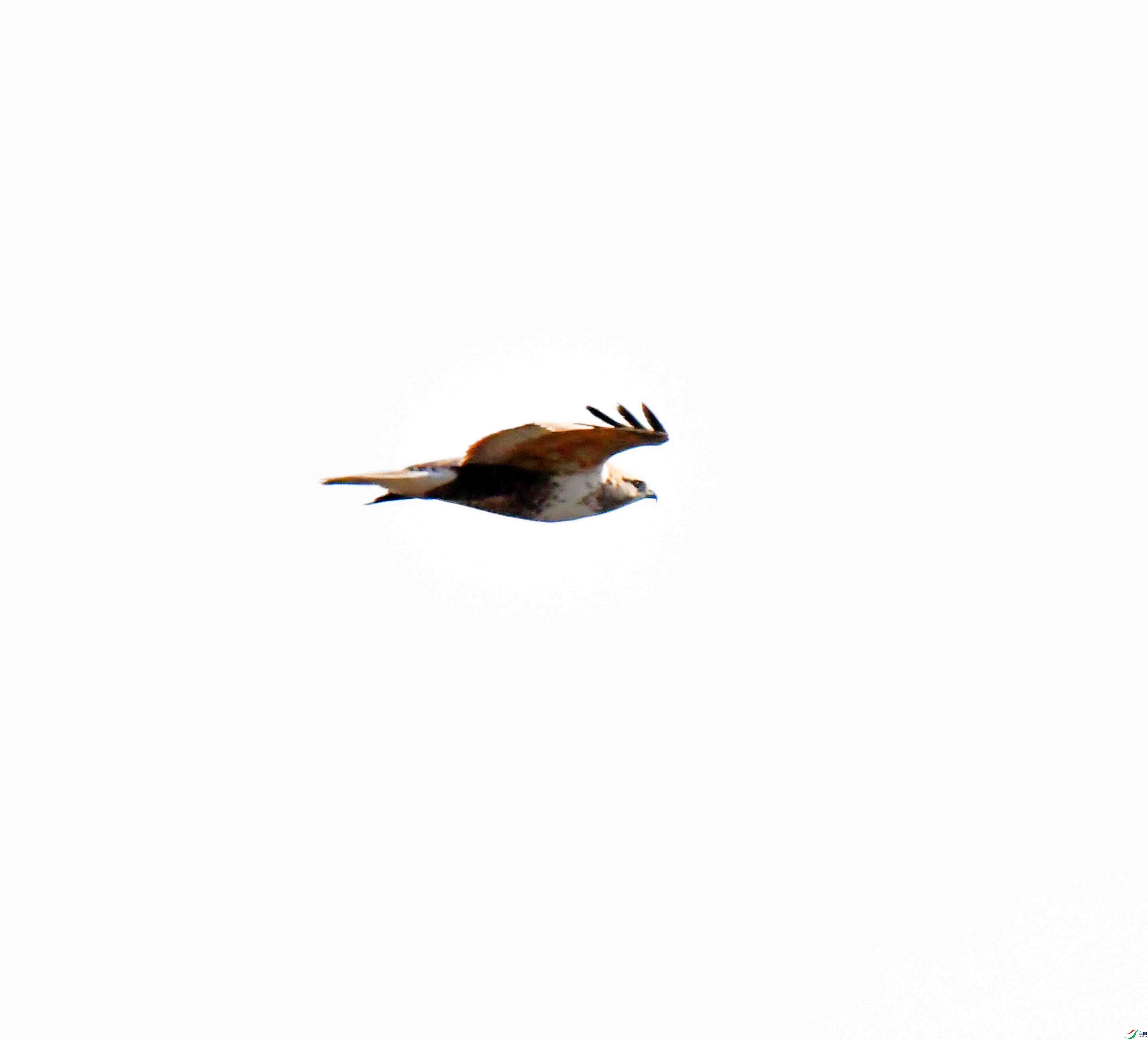 DSC_9073.JPG