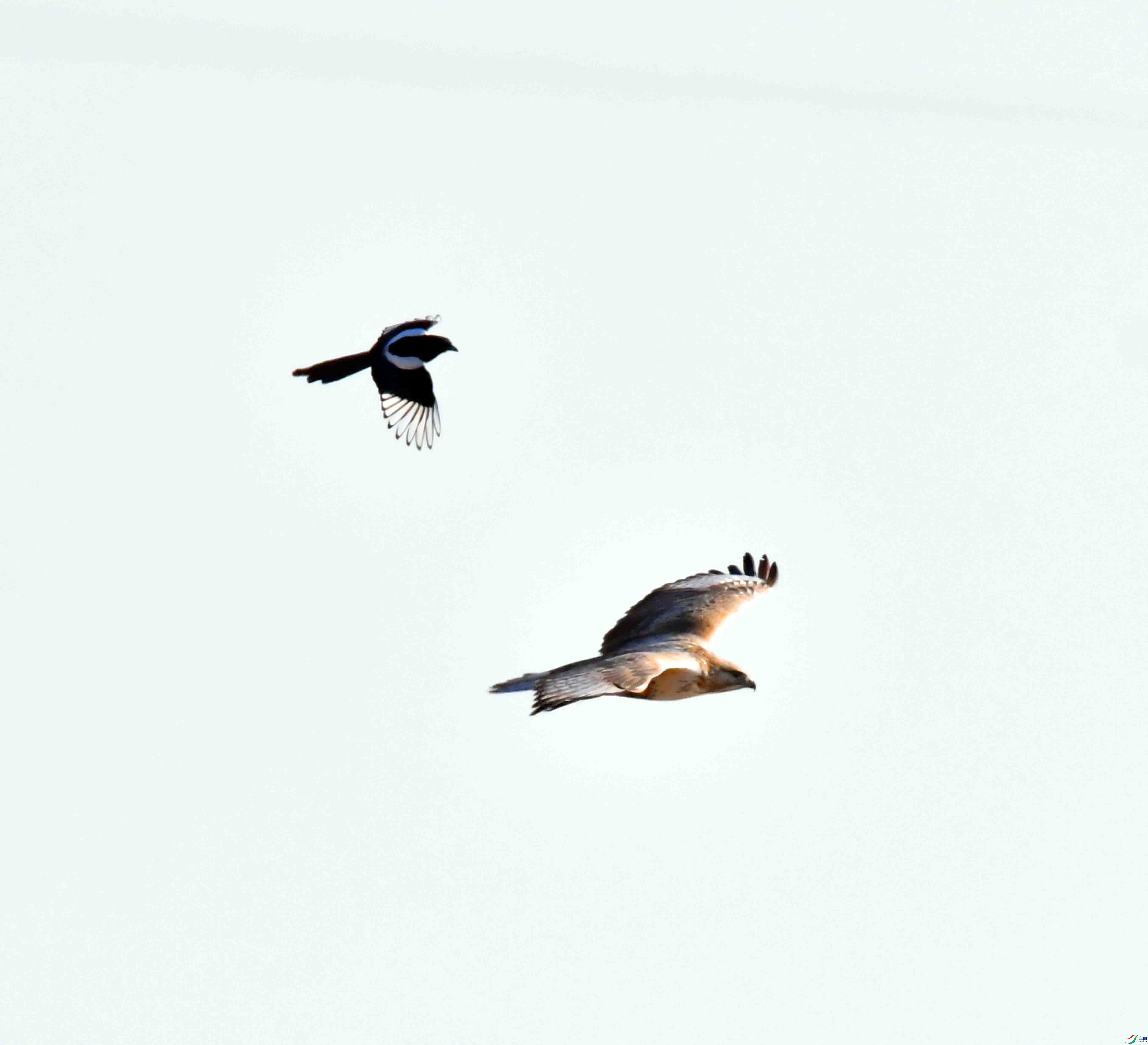 DSC_9079.JPG