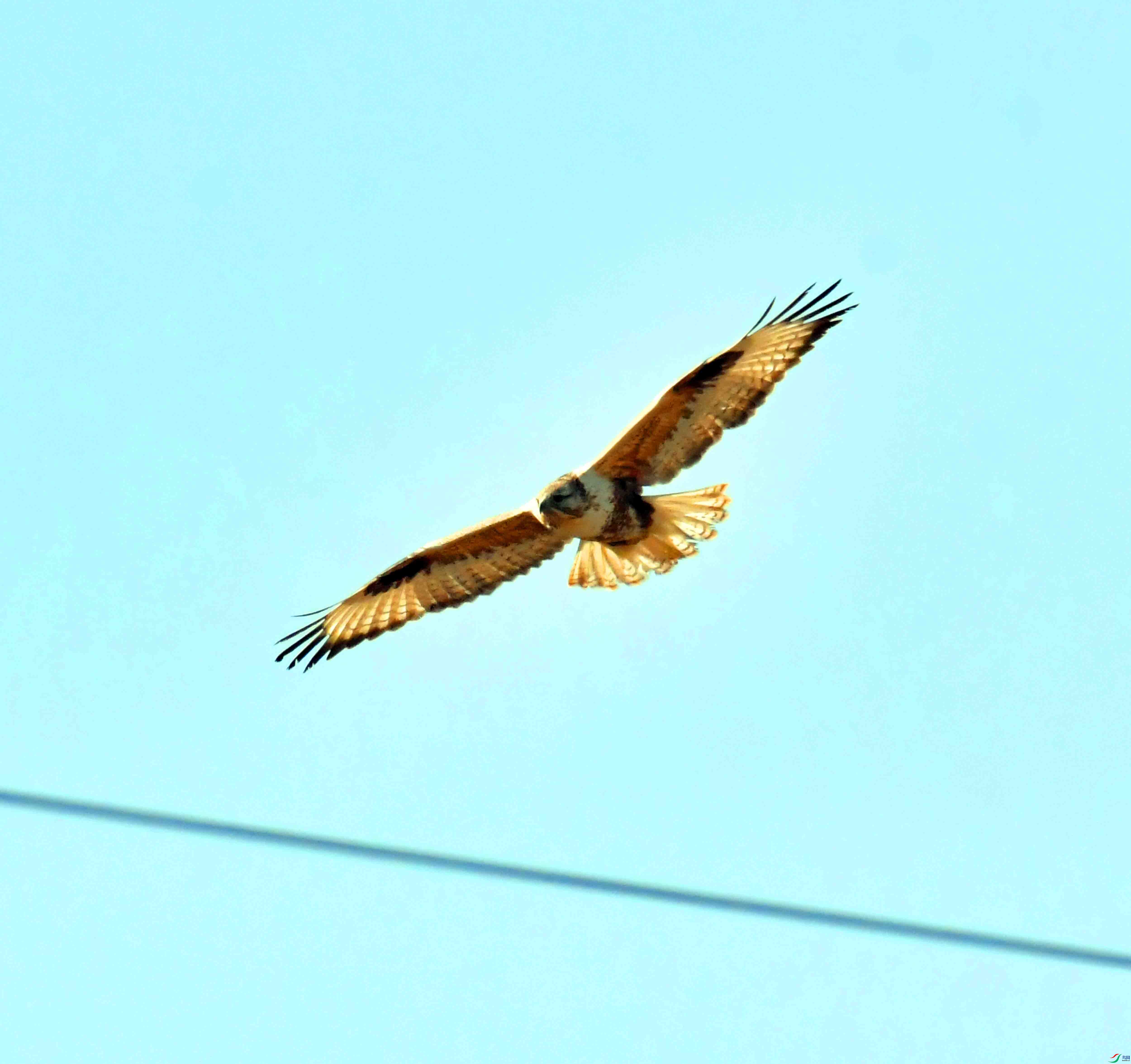 DSC_9399.JPG