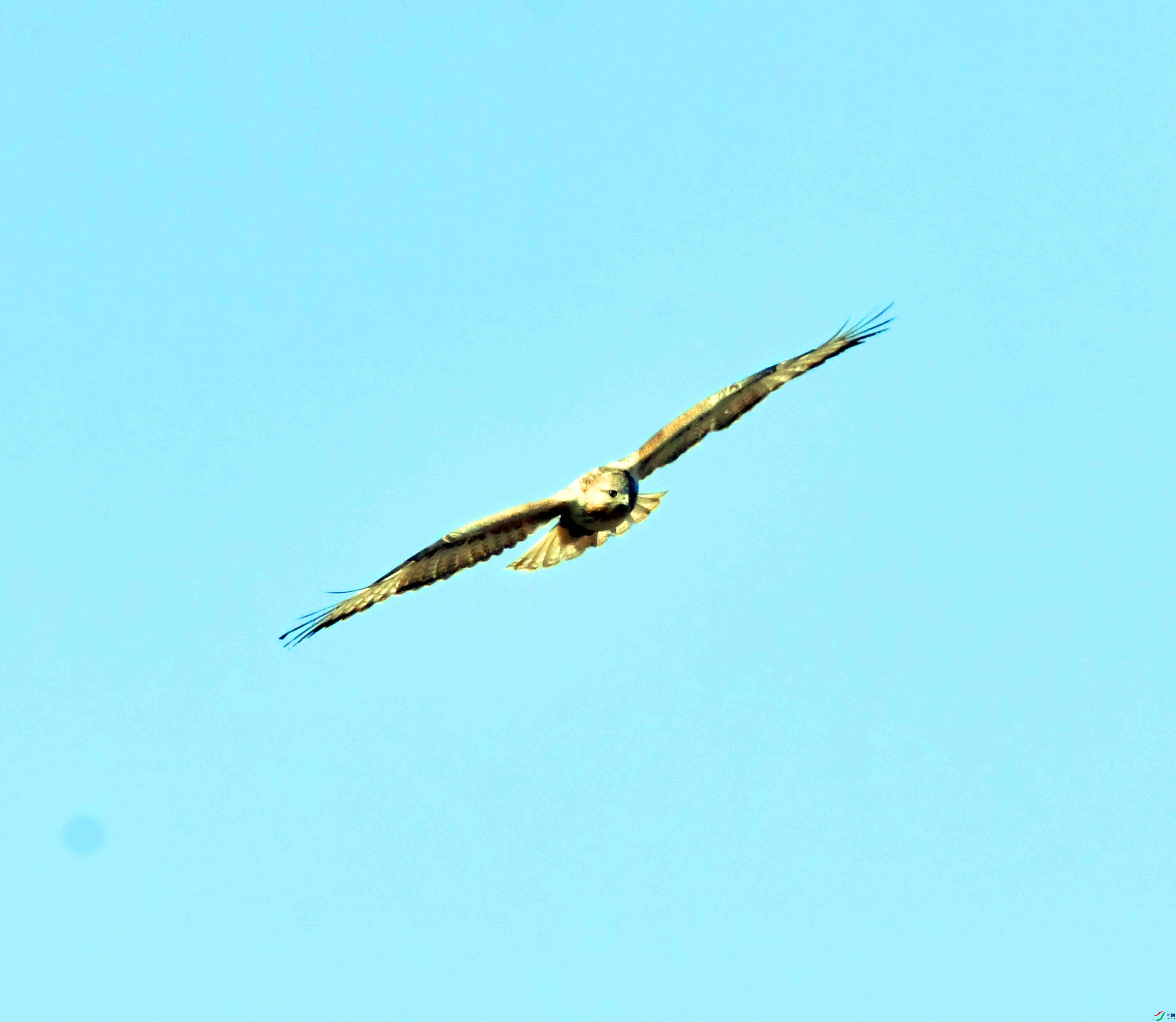 DSC_9472.JPG