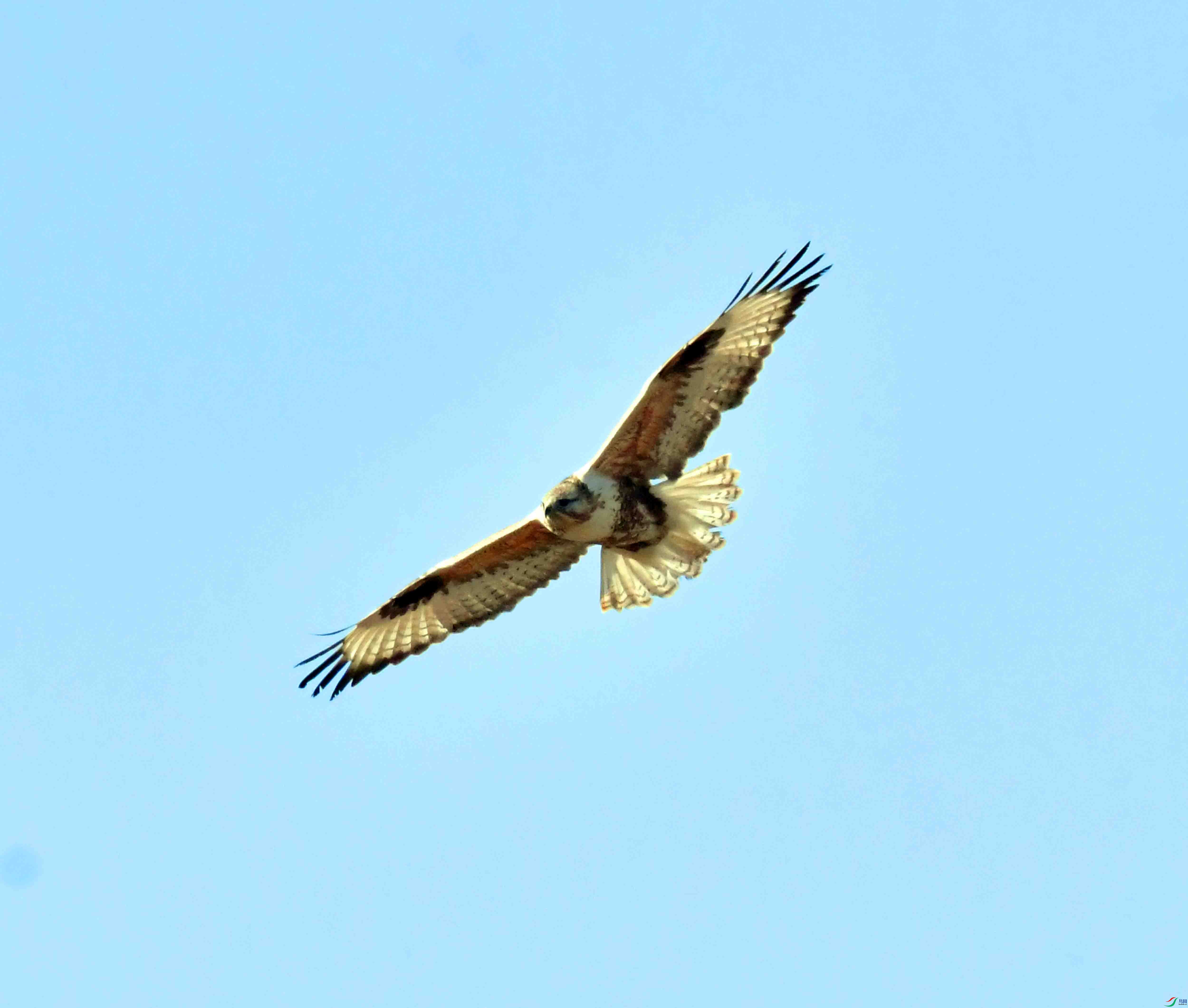 DSC_9473.JPG