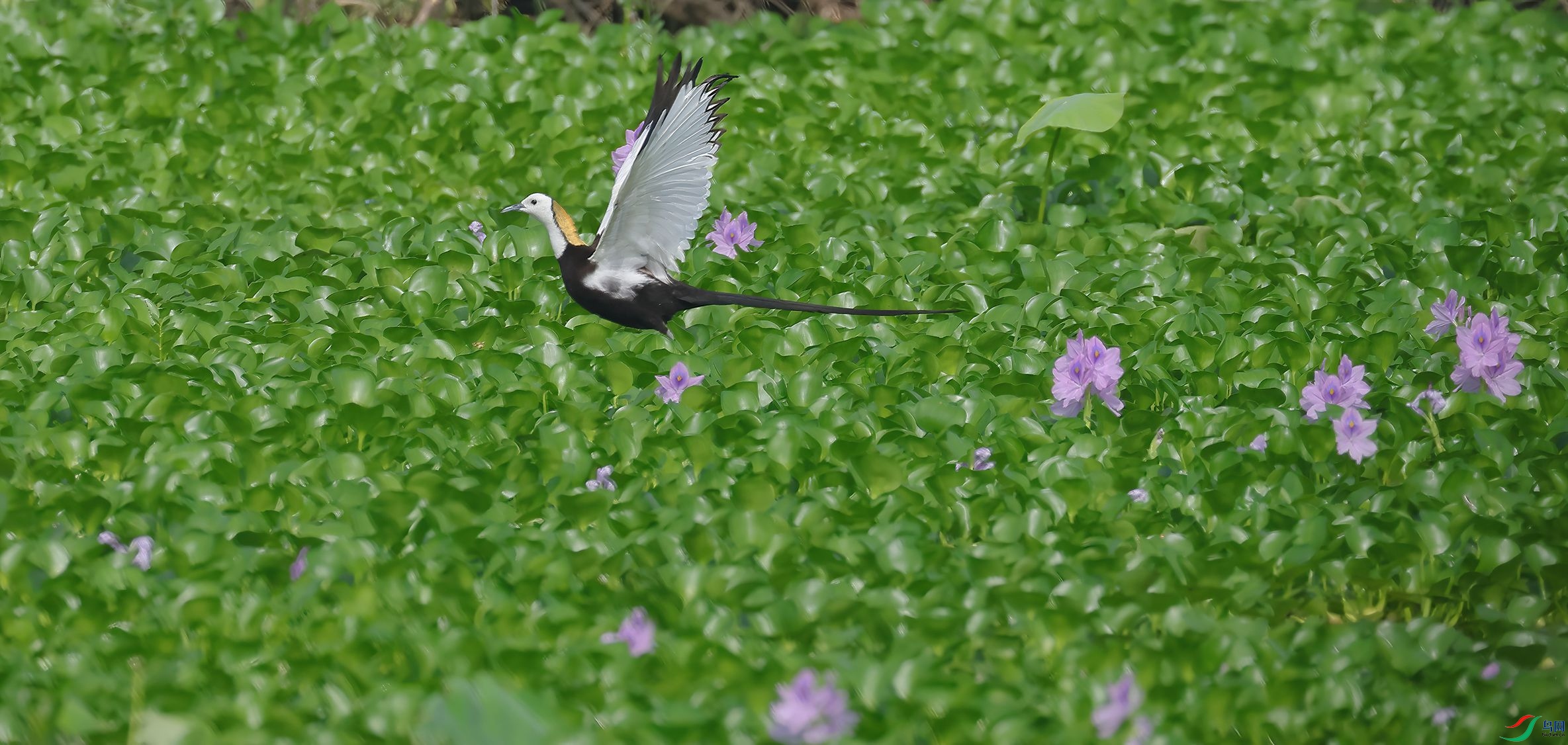 4R6A6539-SharpenAI-Motion.jpg