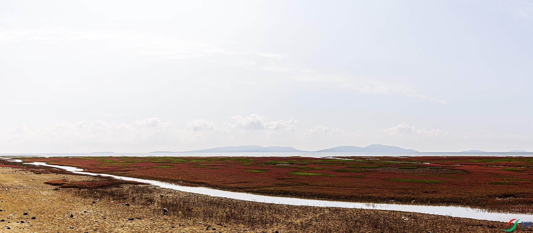 _4LM2373-Panoa.jpg