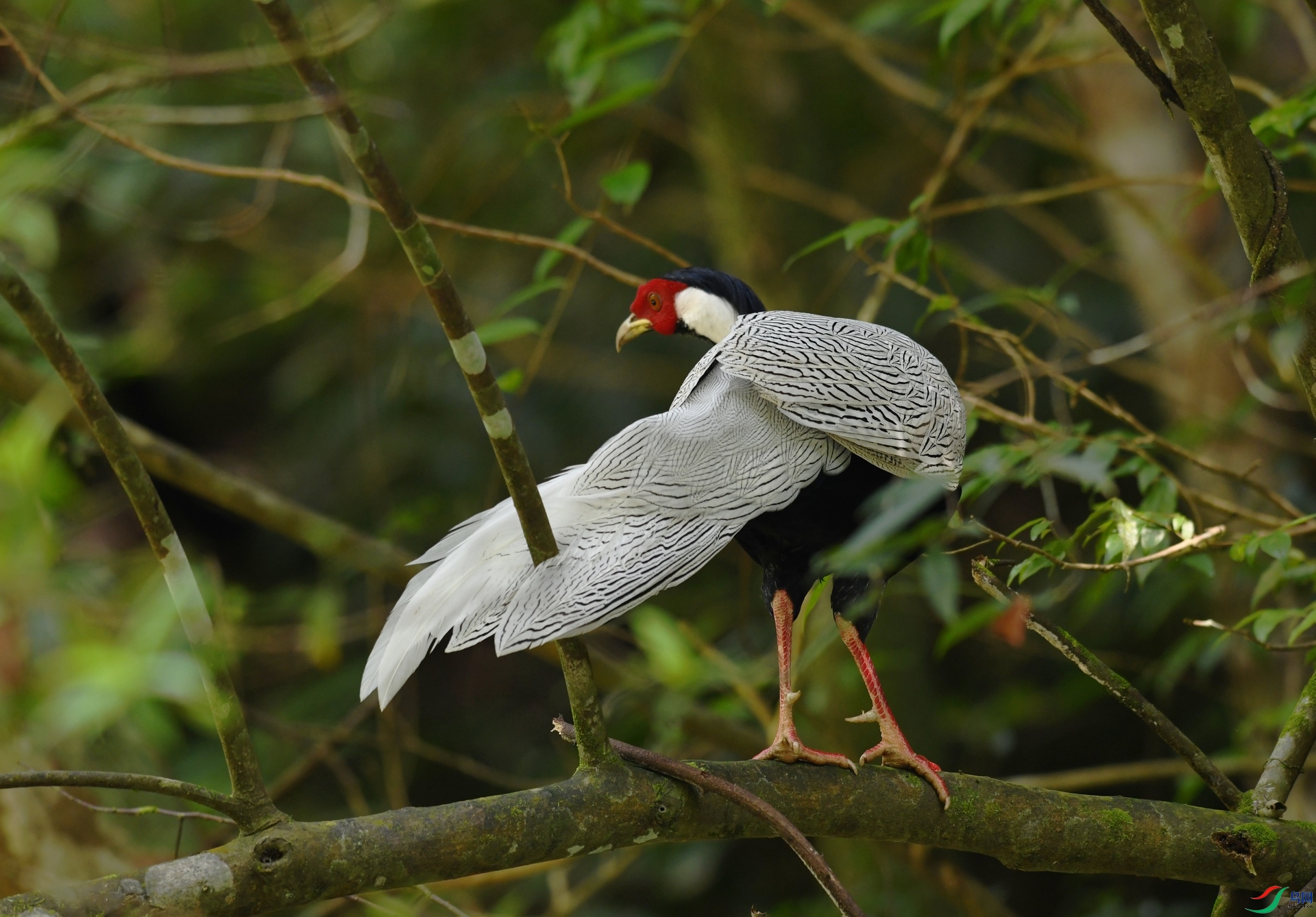 DSC_6496.jpg