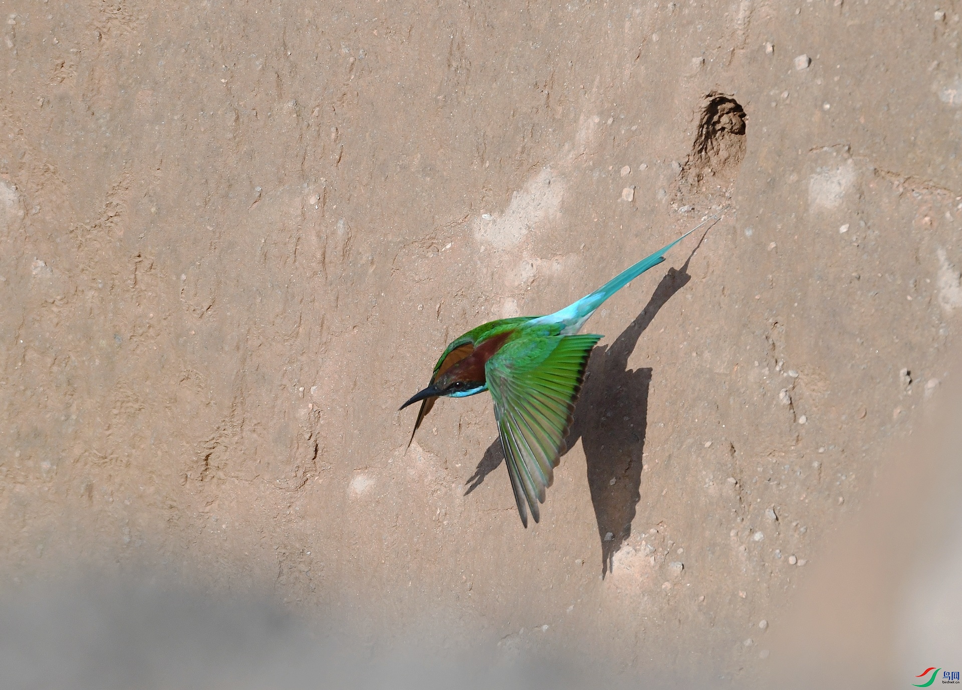 DSC_6074.jpg