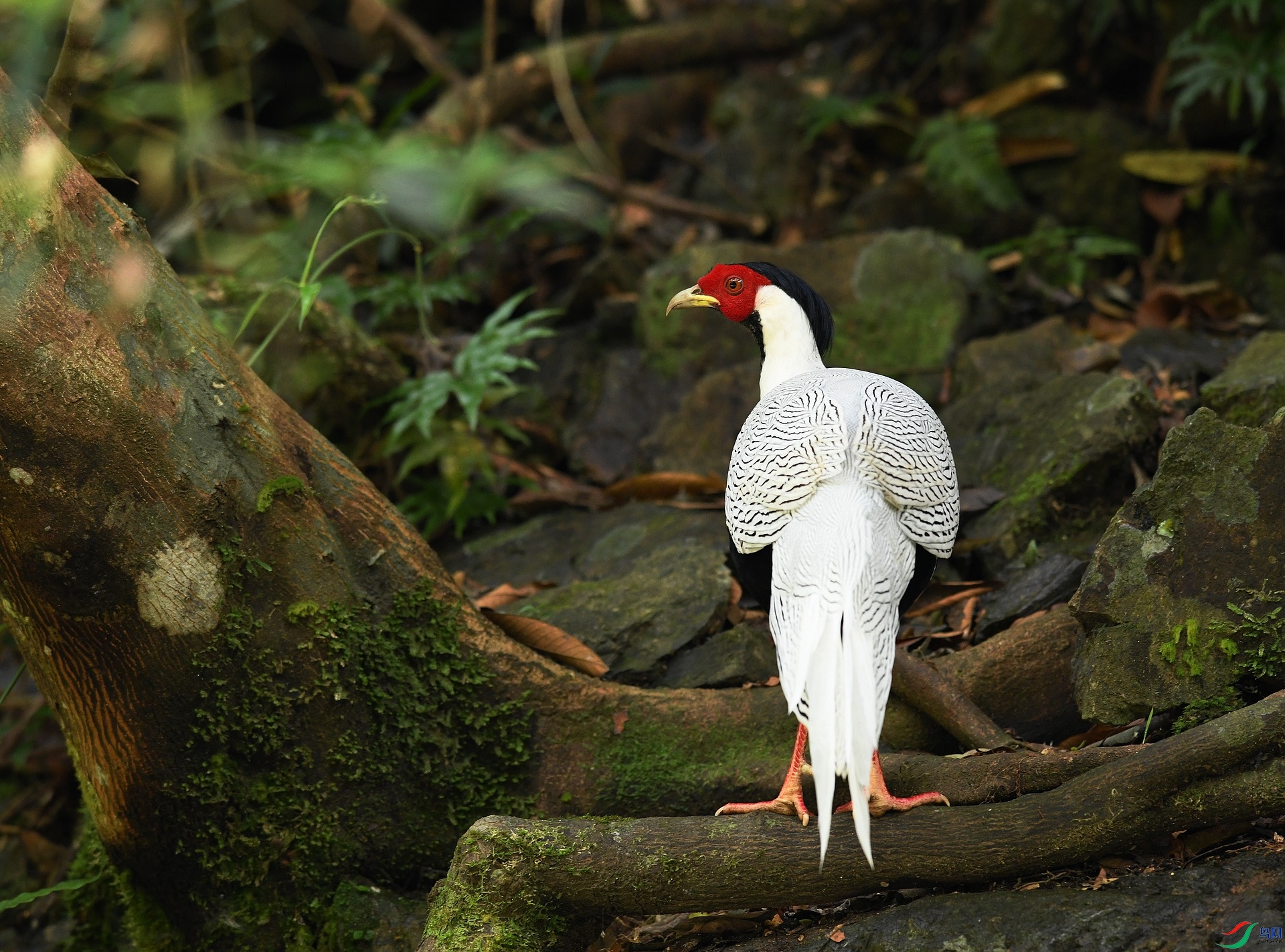 DSC_6841.jpg