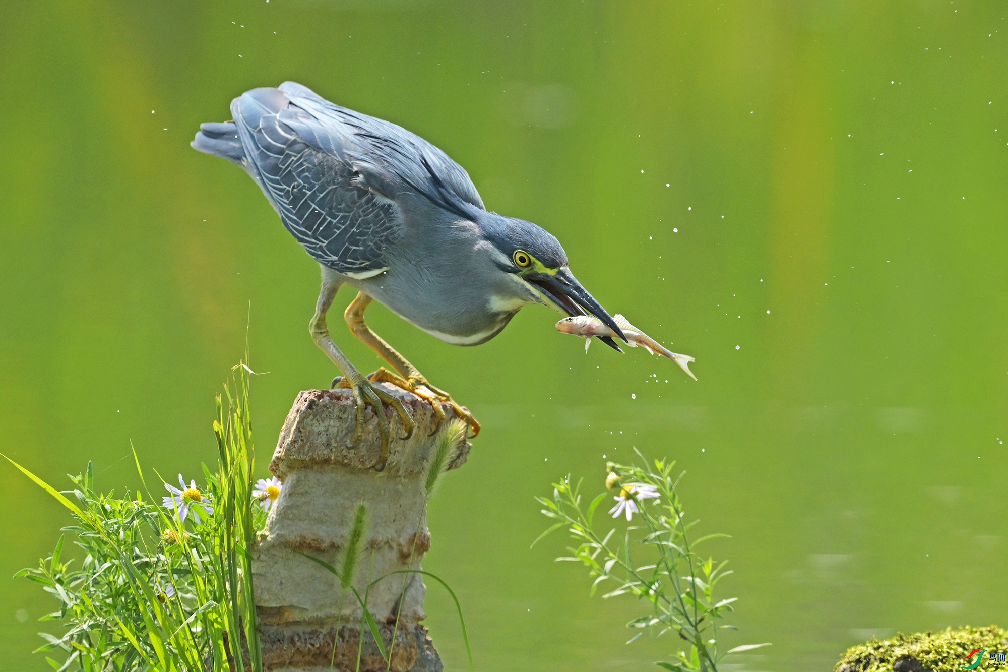 DSC_1608.jpg