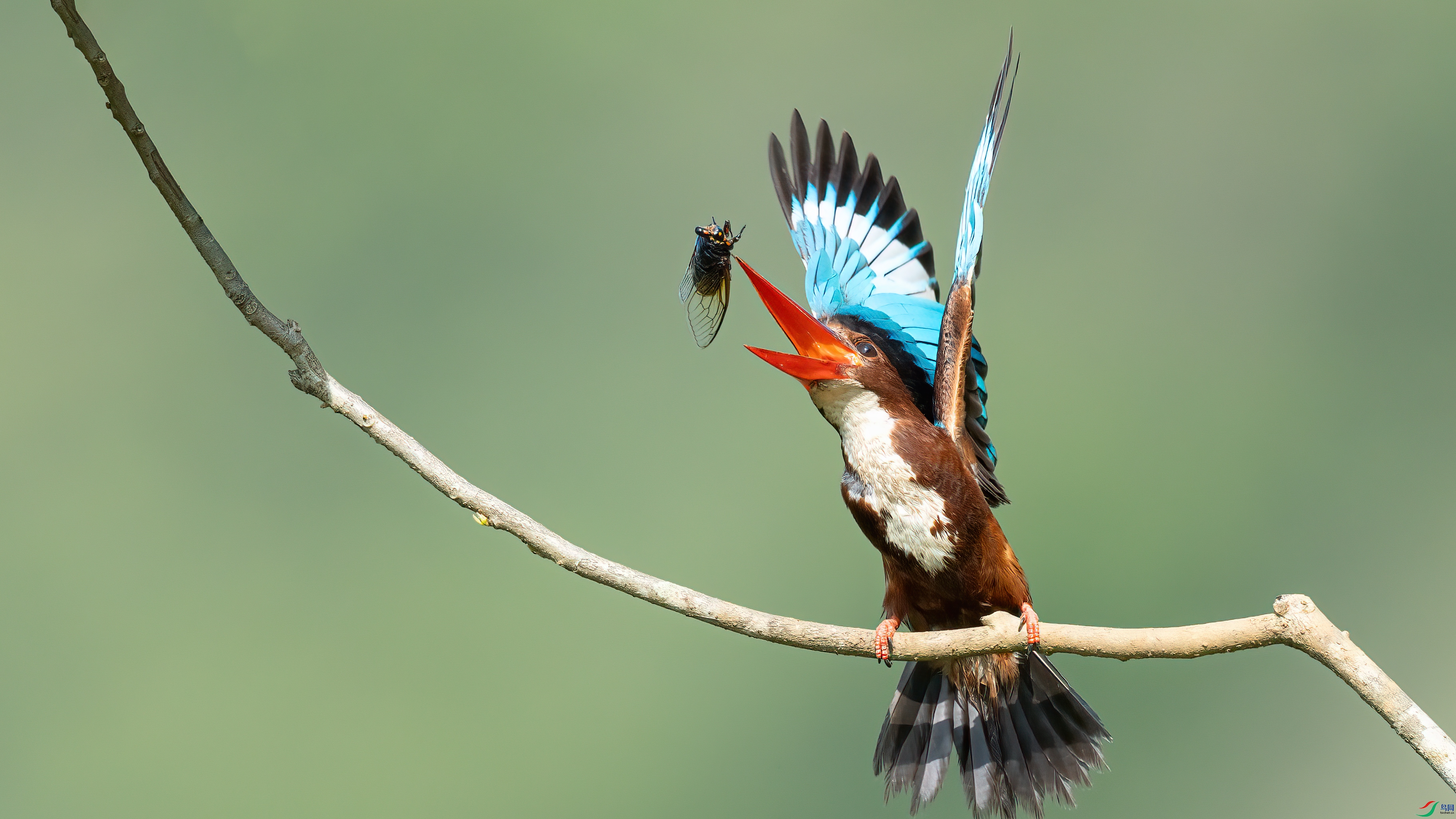 048A1023 ����.jpg