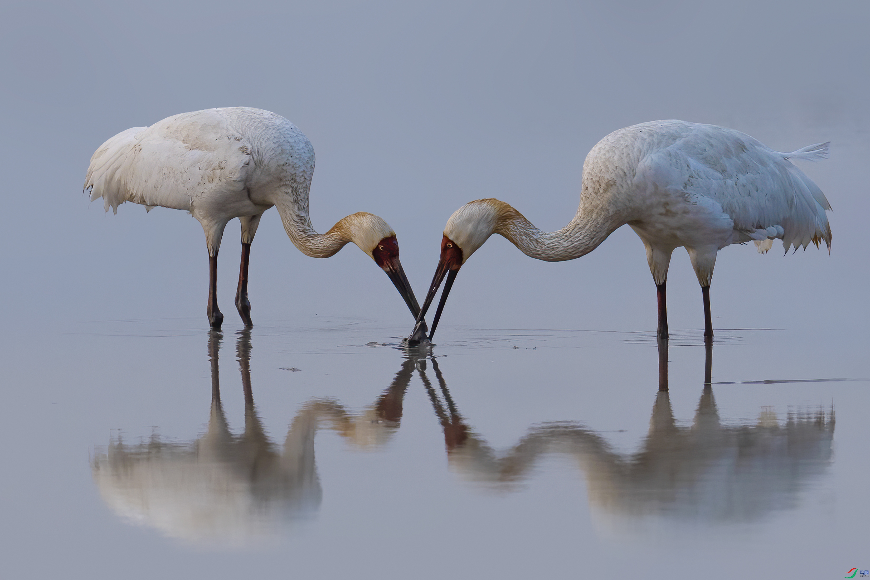 DSC00659 ����.jpg