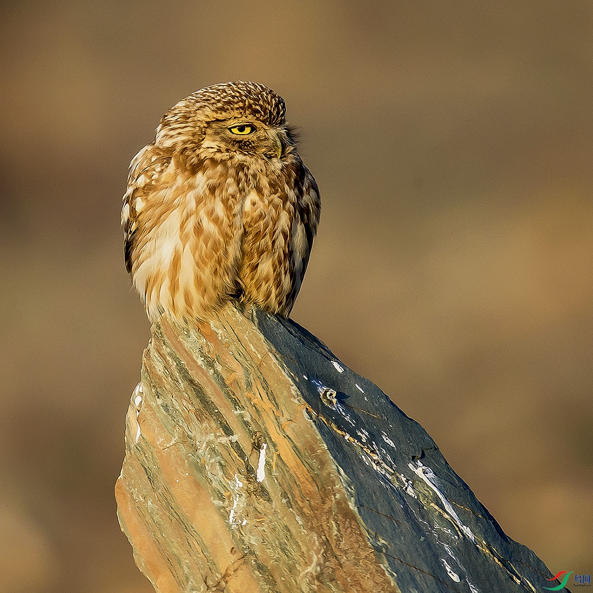 _90I8754 ���� 2.jpg