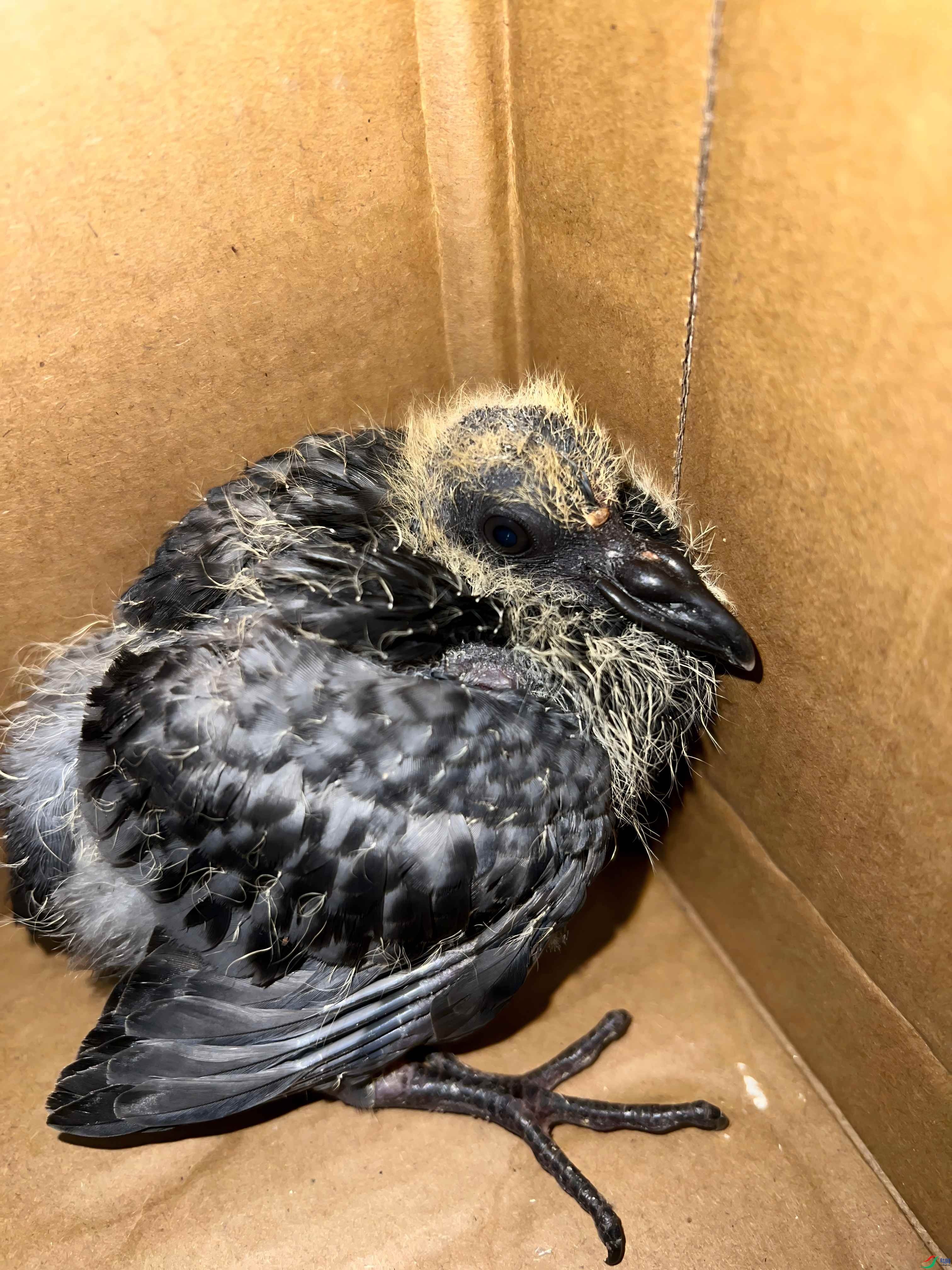 ��û����ʦ��������