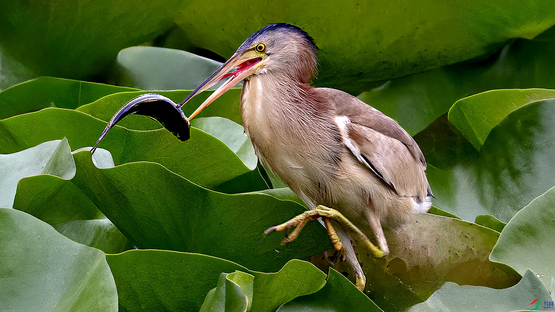 DSC_6278-.jpg