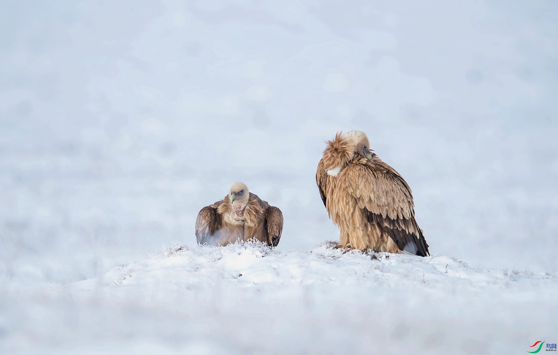 _DSC4593_����.jpg