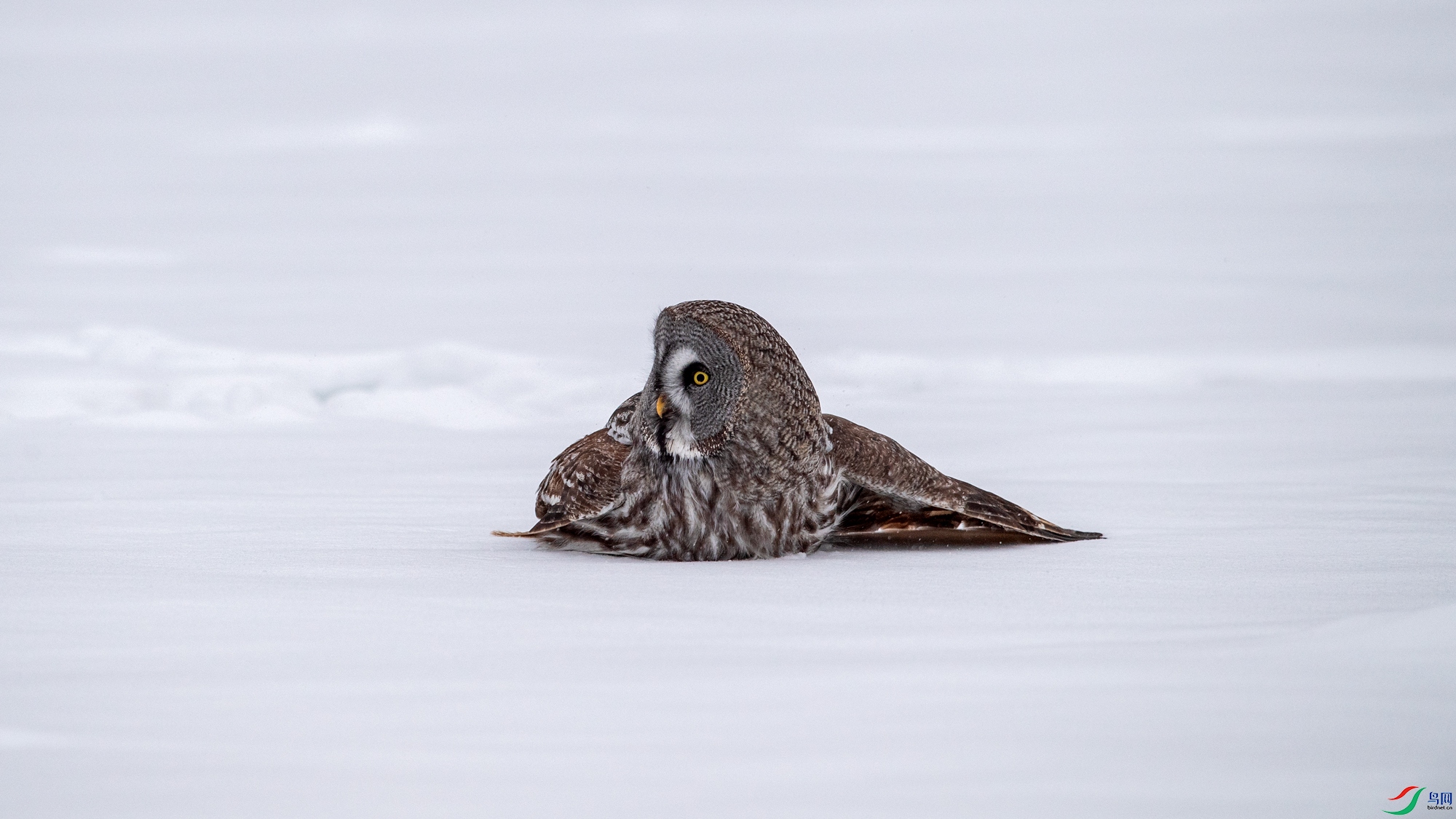 DSC_3058.jpg