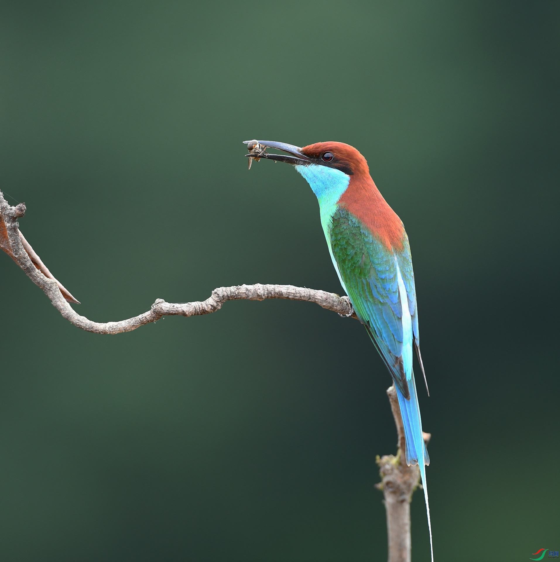 DSC_1703.jpg