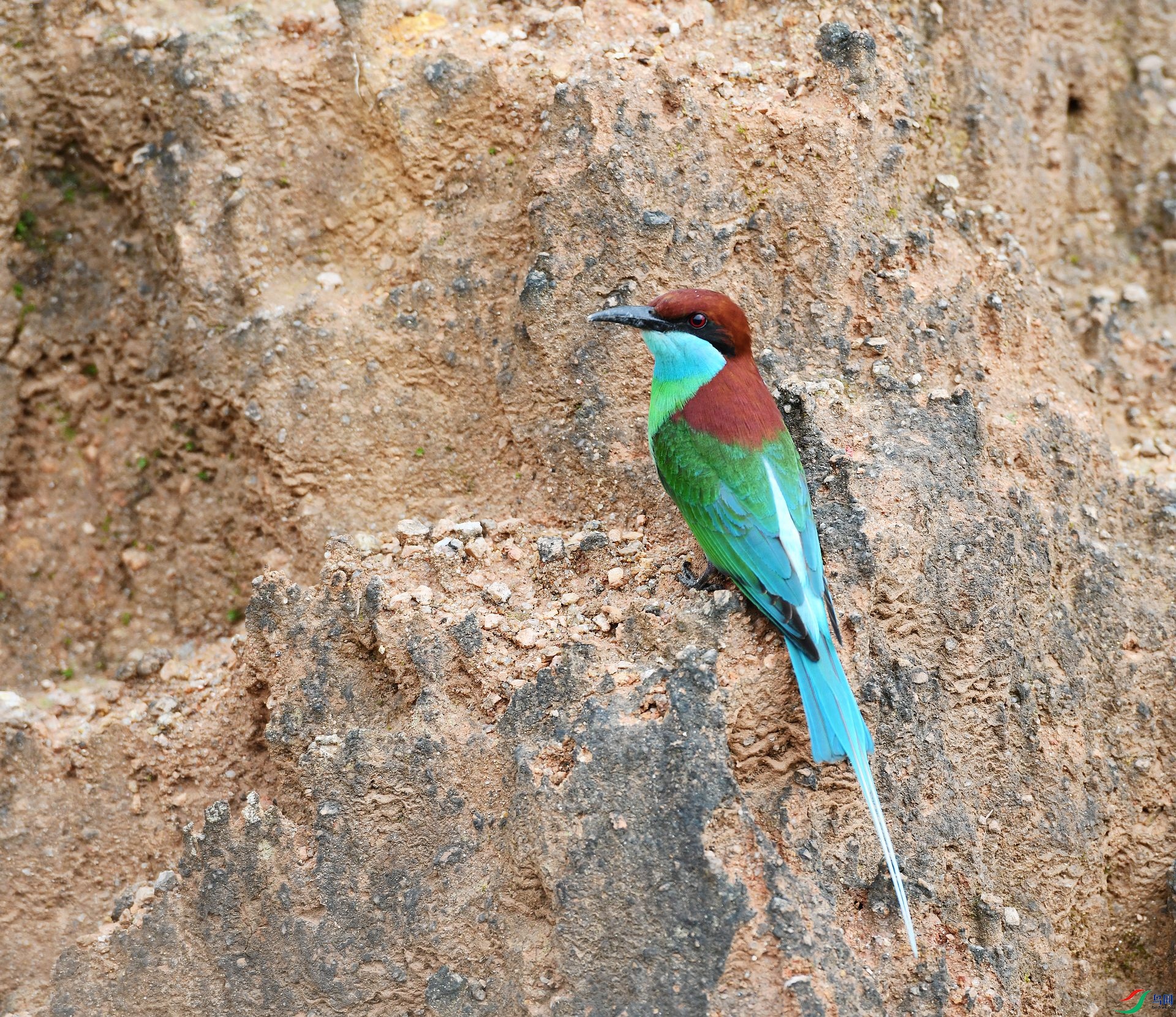 DSC_5836.jpg