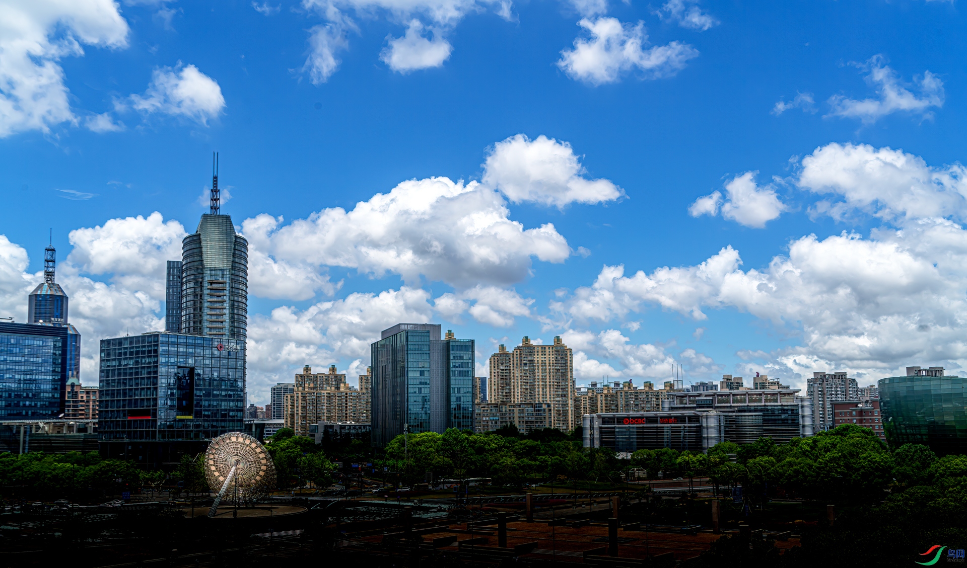 DSC05315-11.jpg