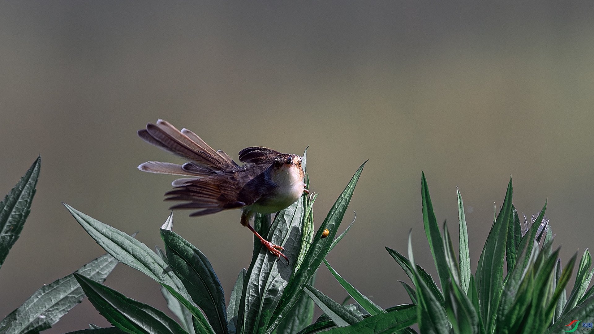 DSC_5186.jpg