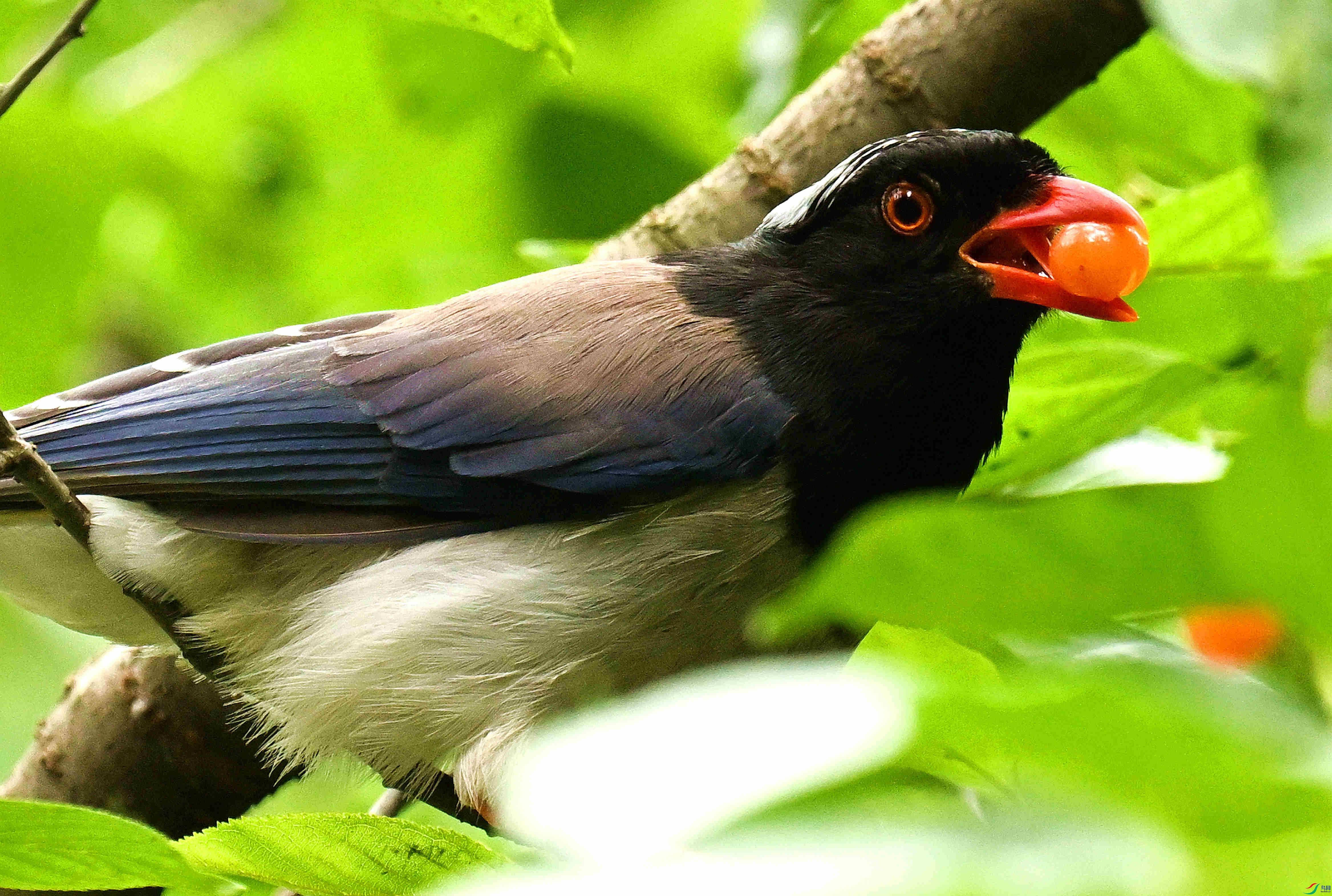 DSC_9660.JPG