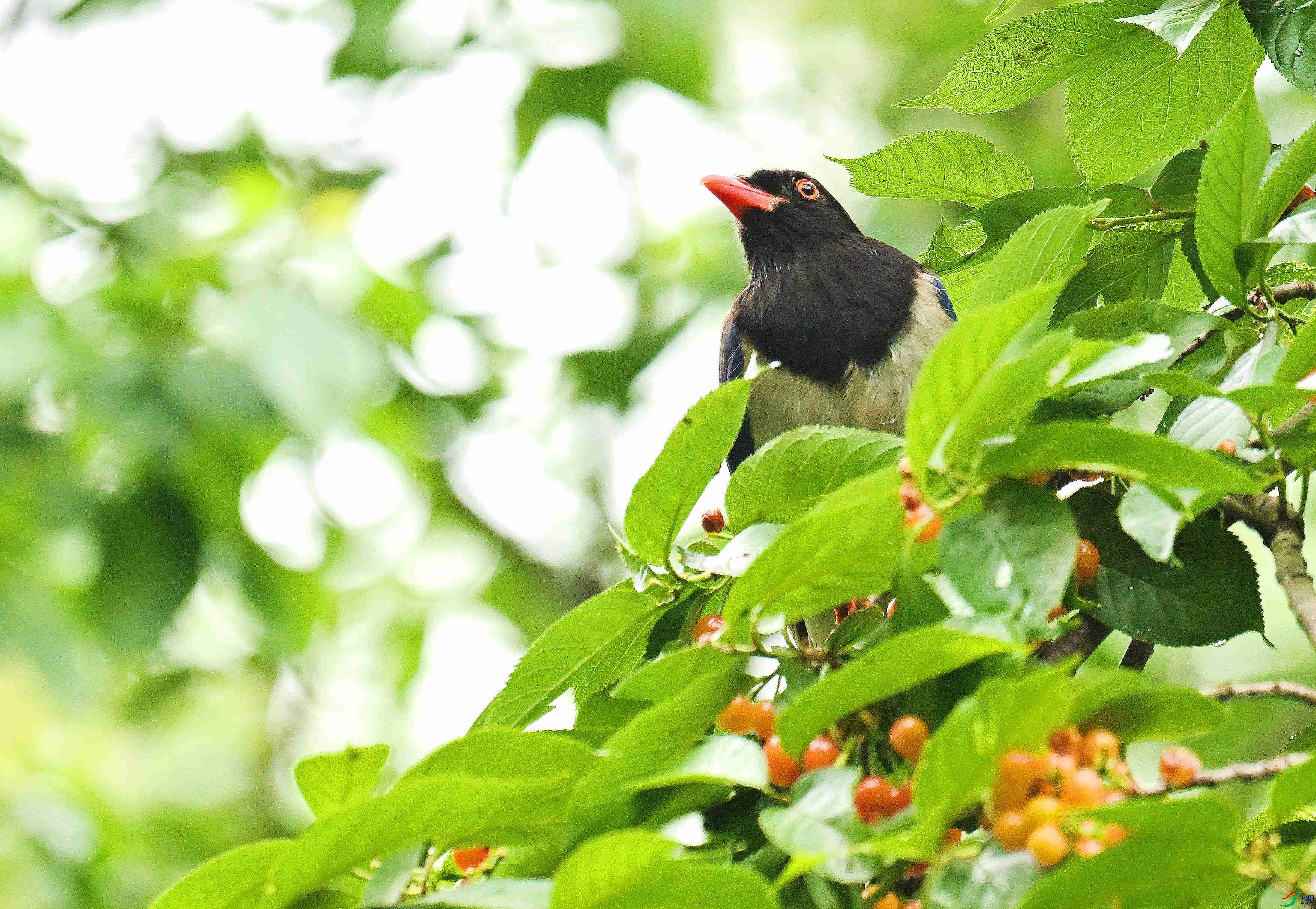 DSC_8724.JPG