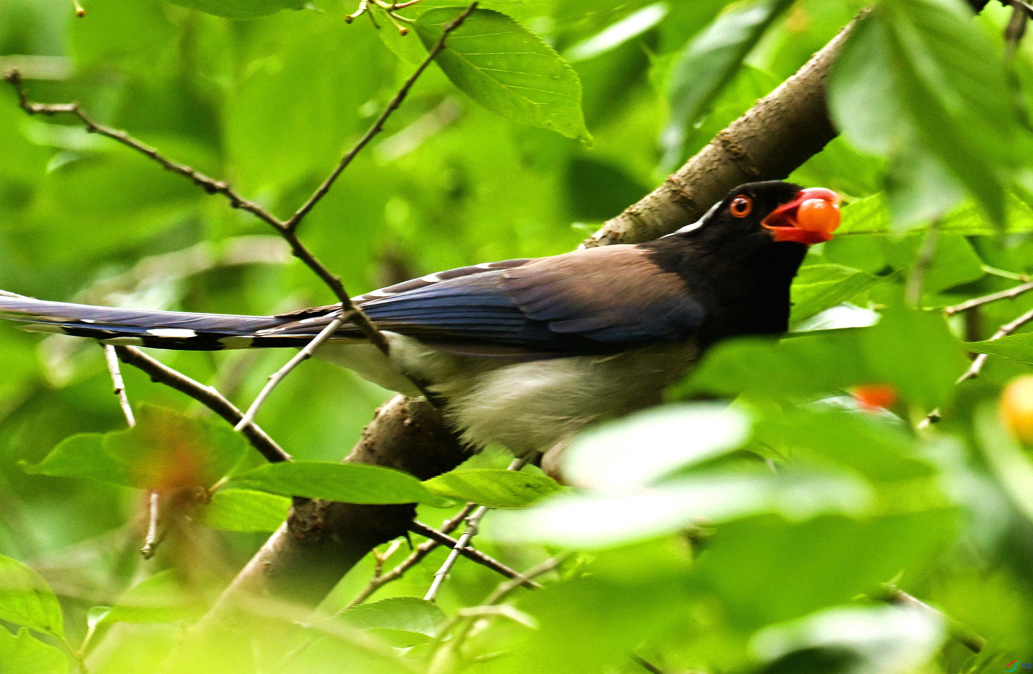 DSC_9647.JPG