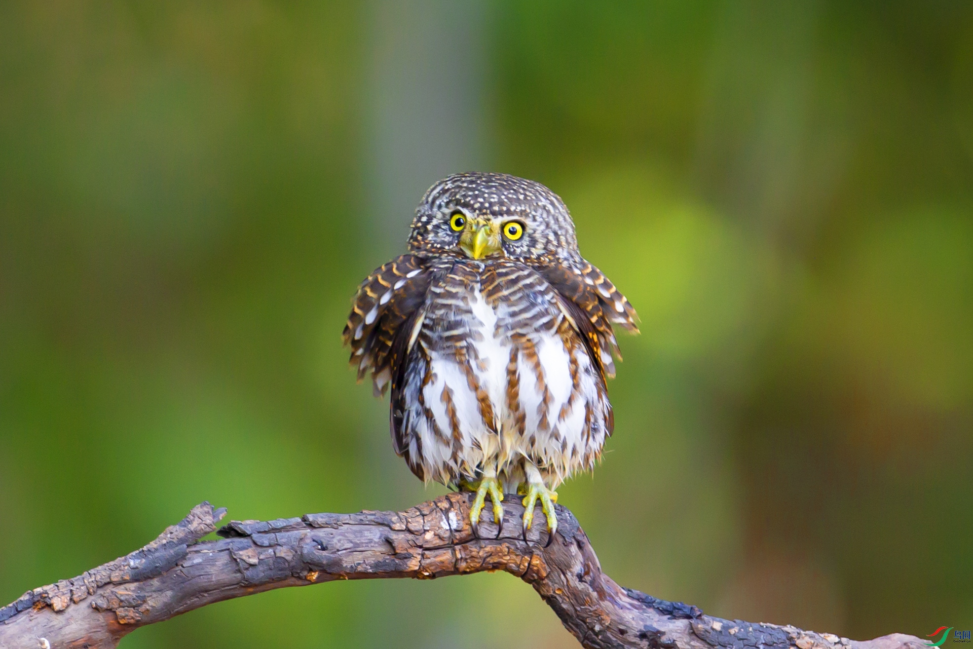 6R6A5446 ����.jpg