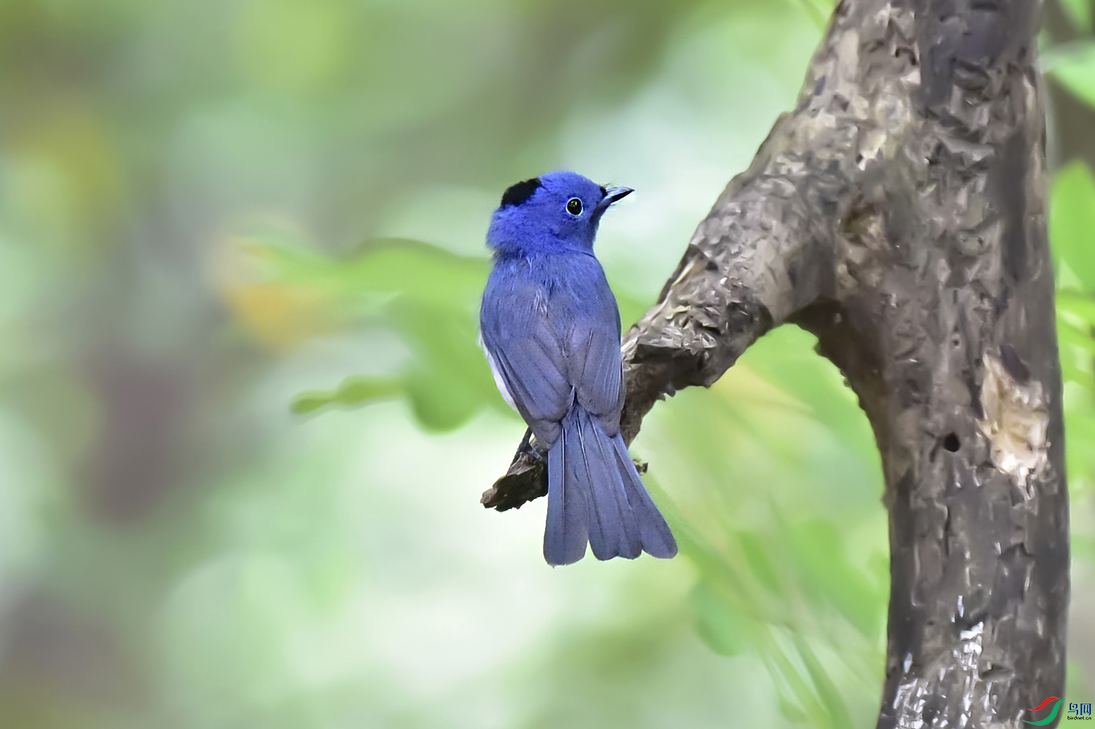 �������l