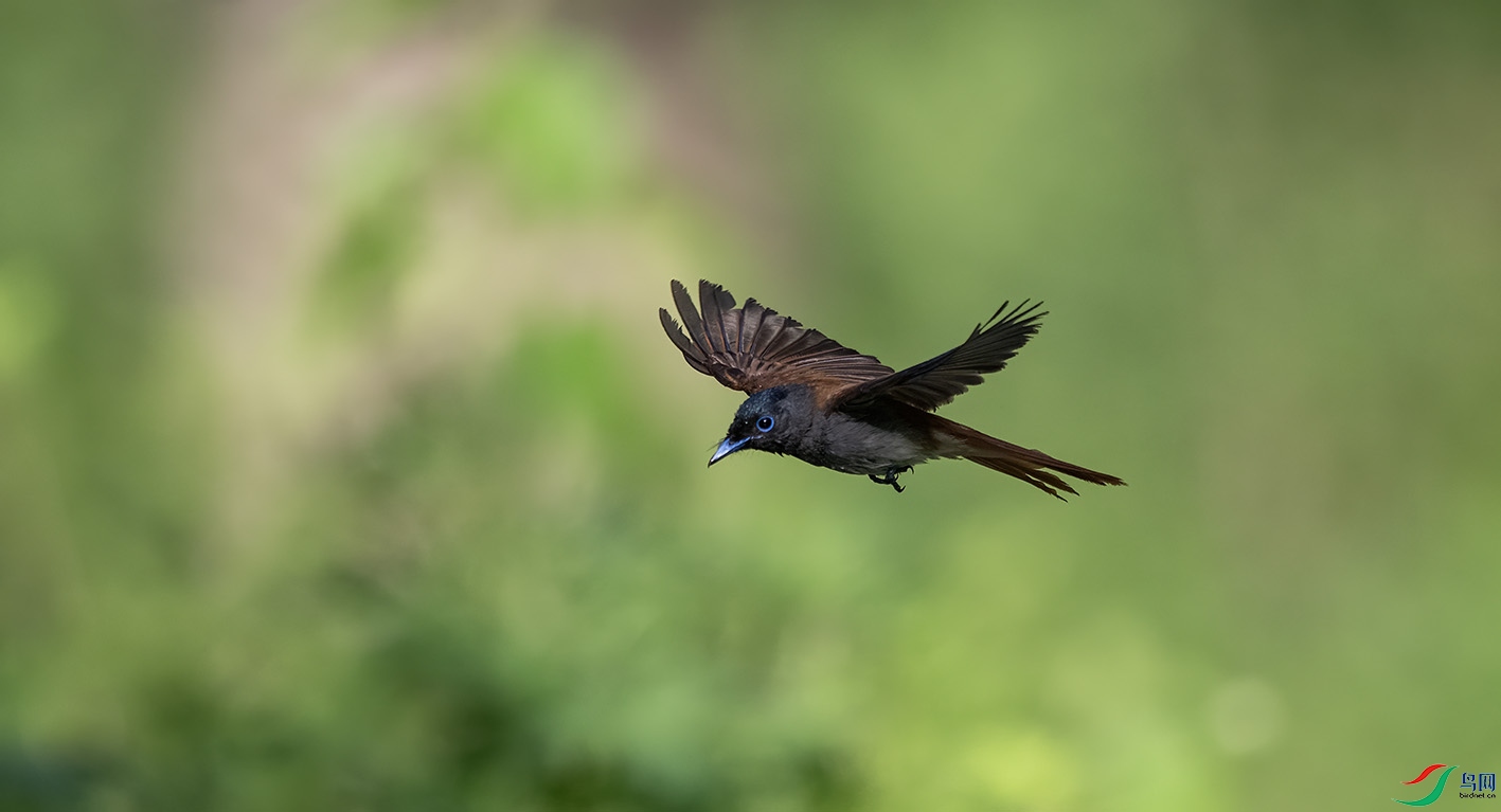 DSC_8354 ����.jpg