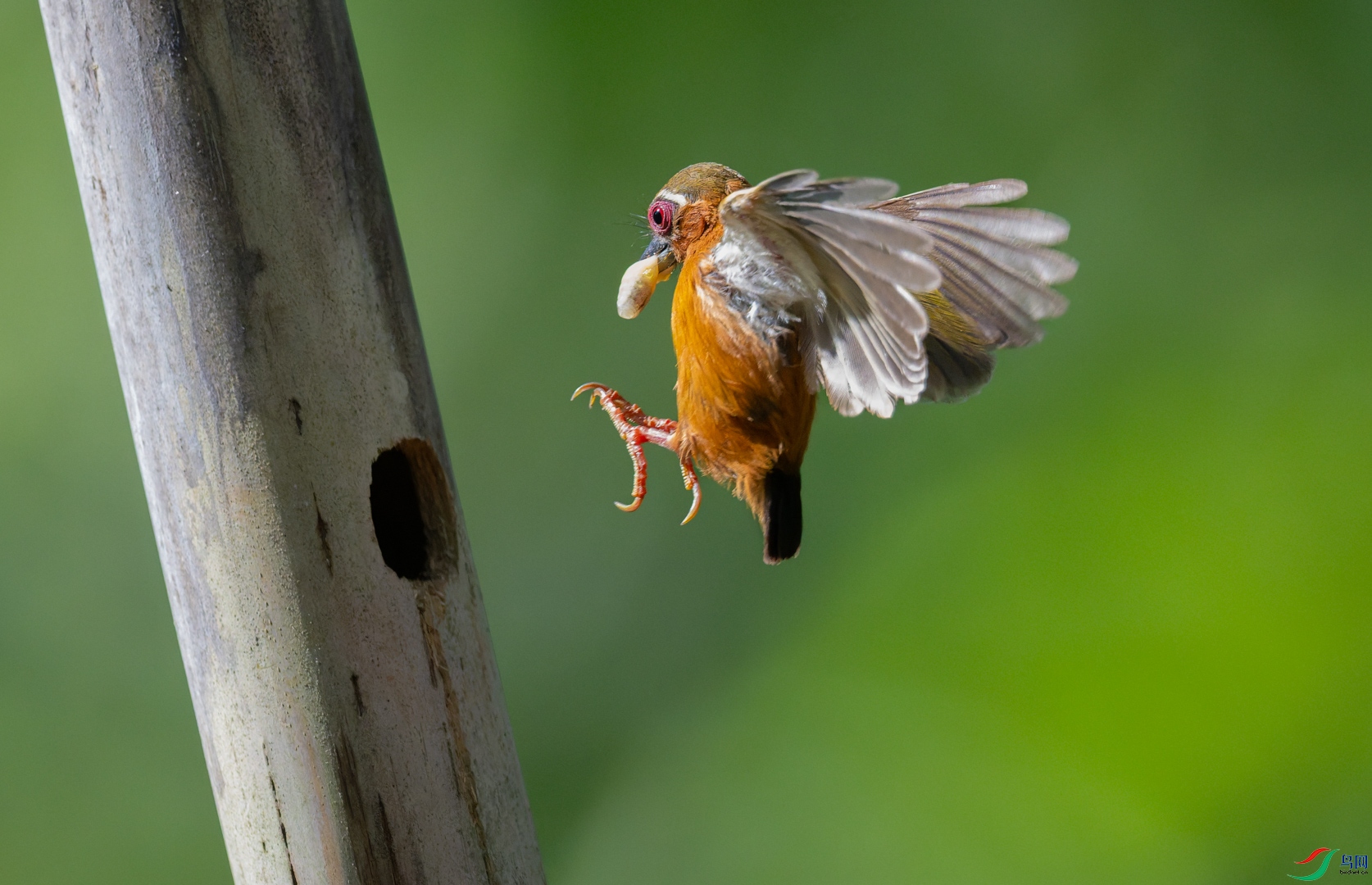 DSC_4798-DxO_DeepPRIME 3-2.jpg