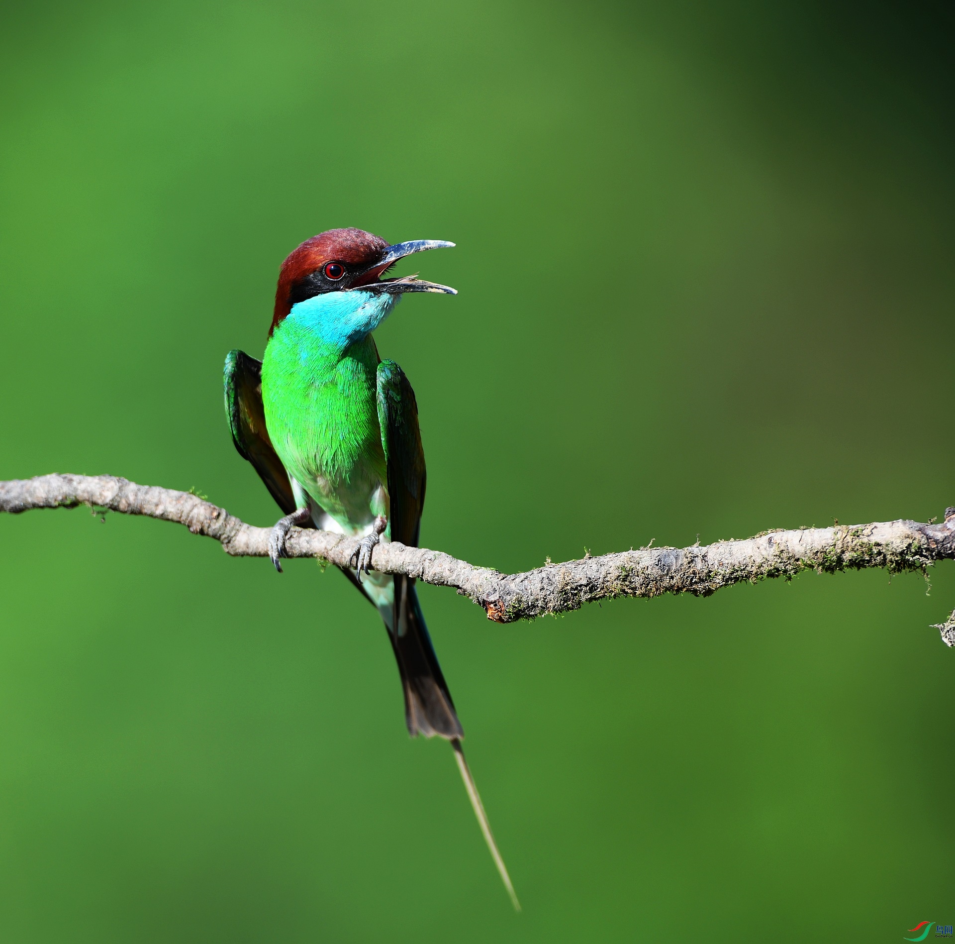 DSC_5837.jpg