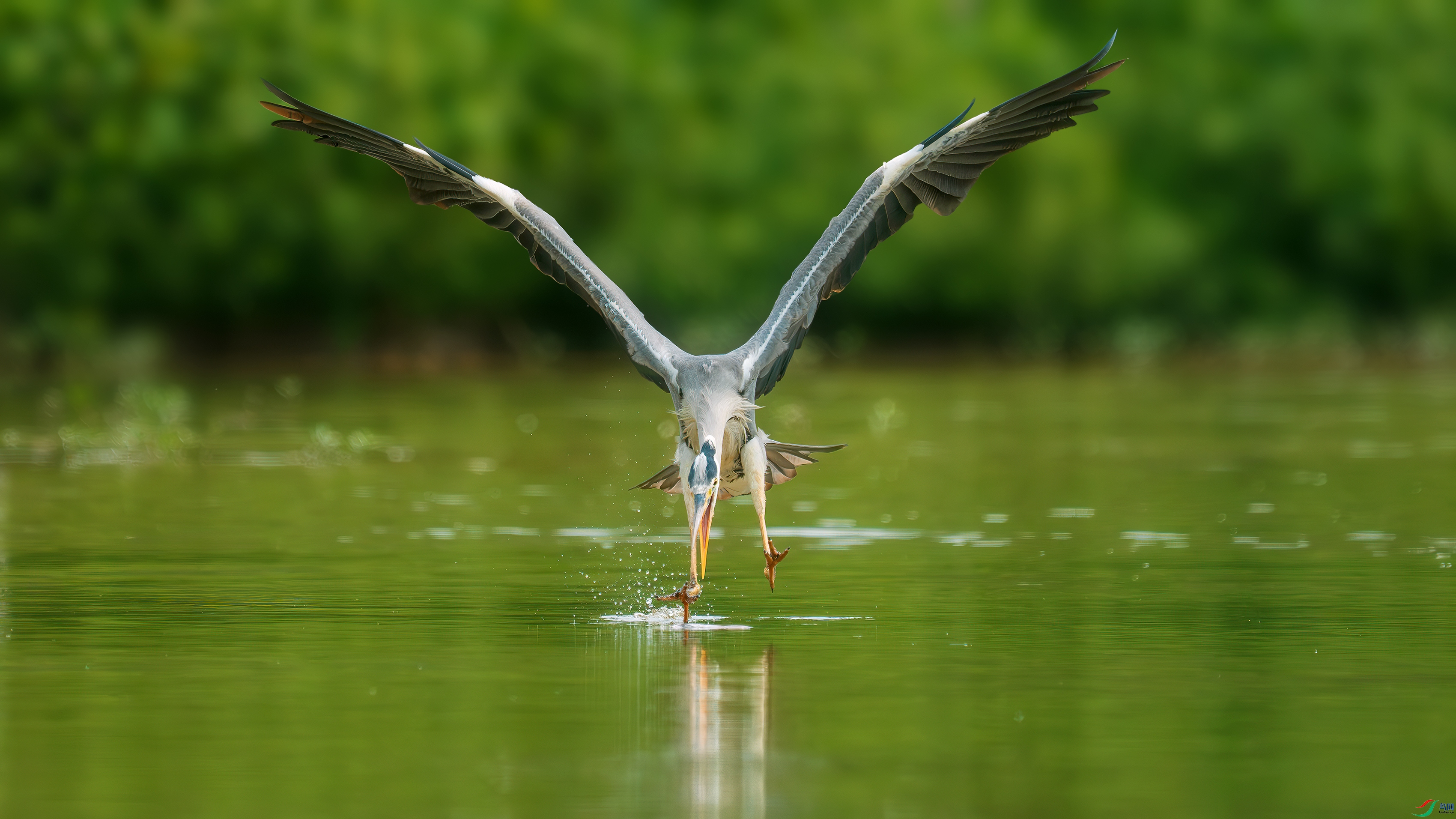 _DSC8947 ����.jpg