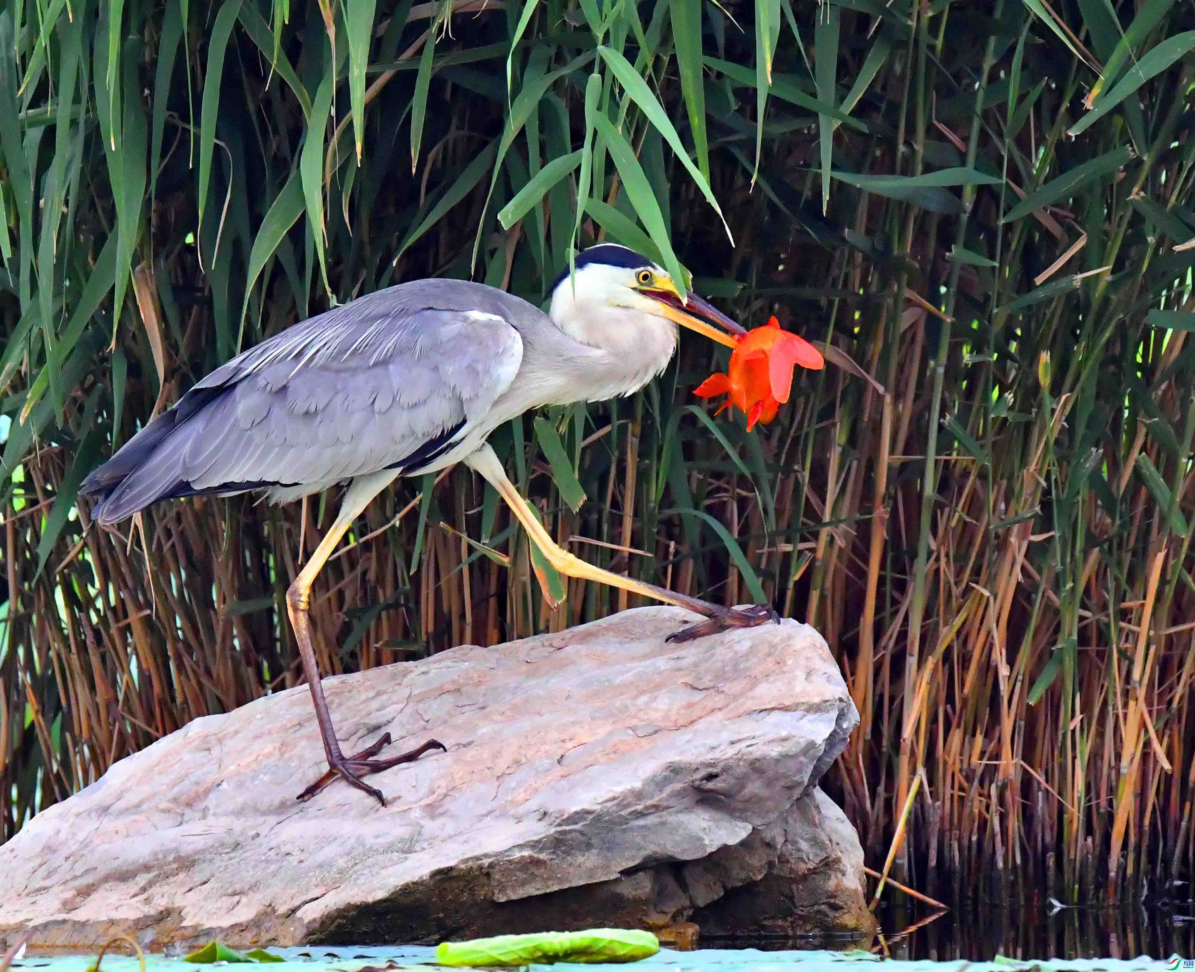 DSC_6634.JPG