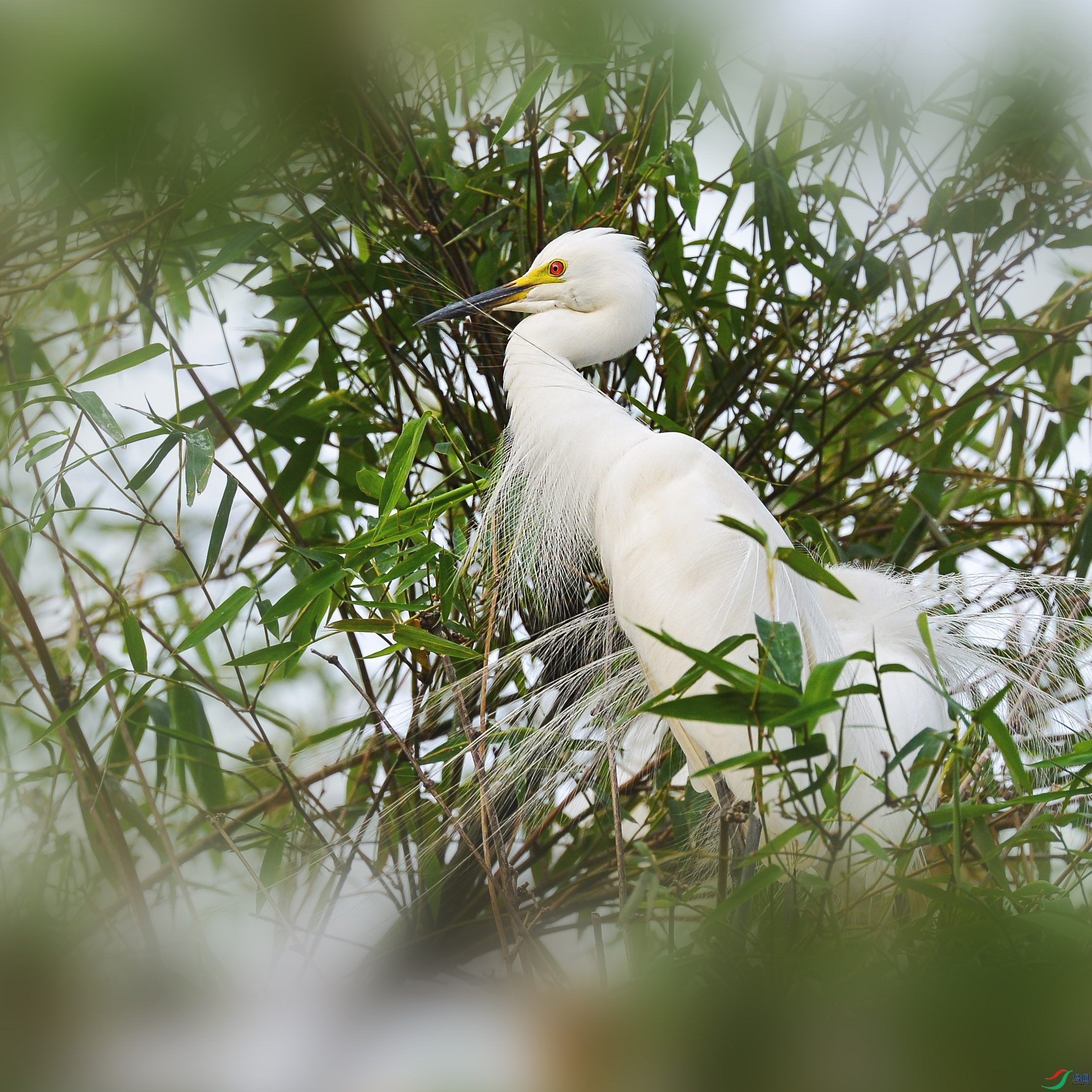 DSC_1608.jpg