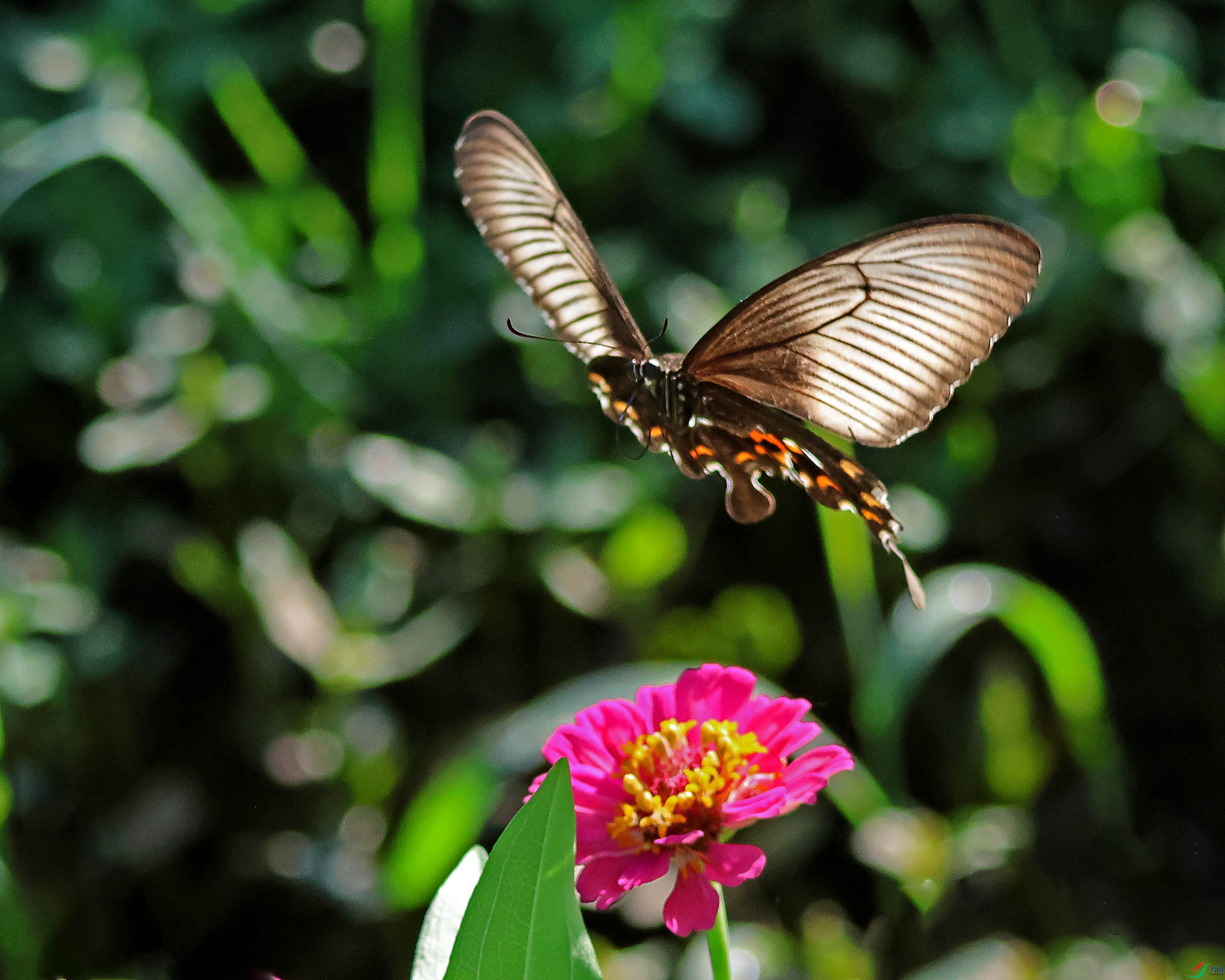 2G9A8043.JPG