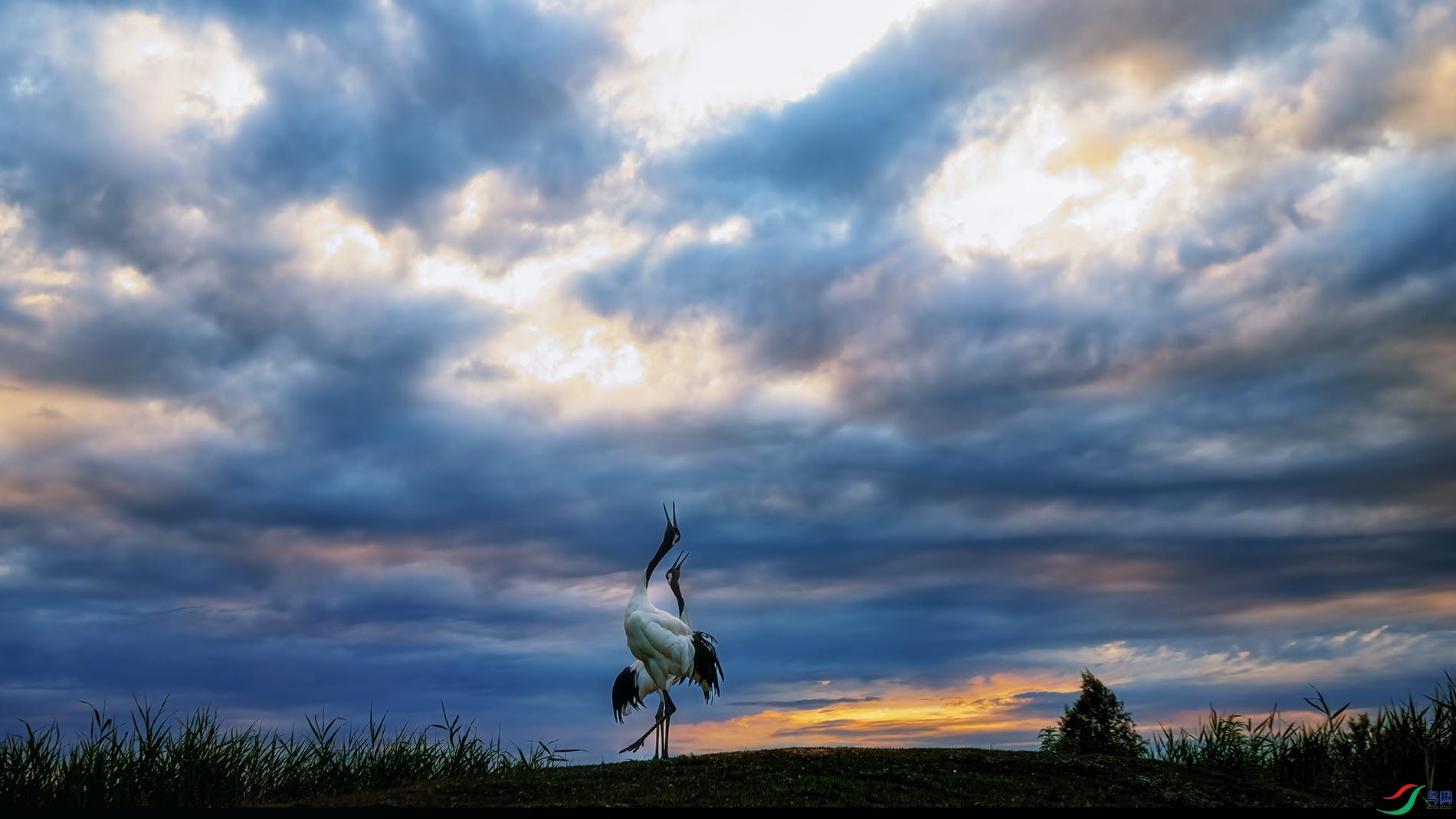 �������