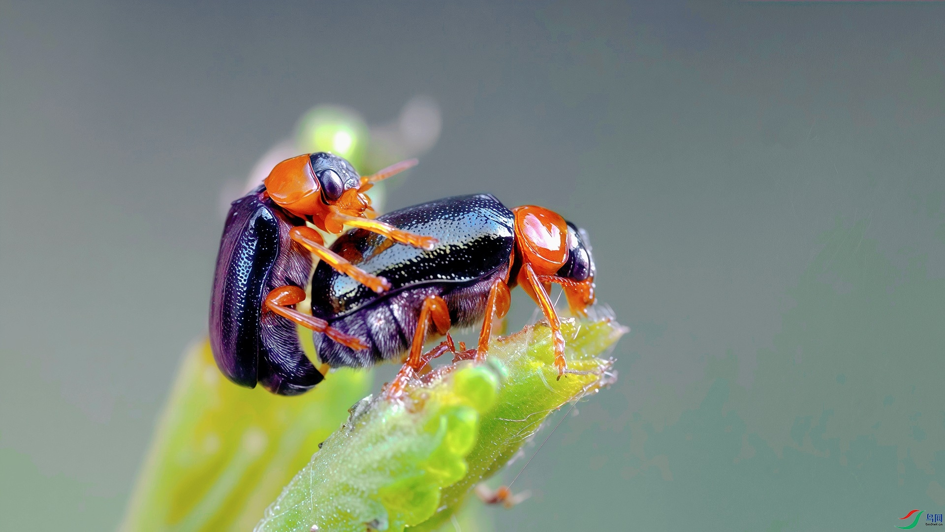 _FY56671_����.jpg