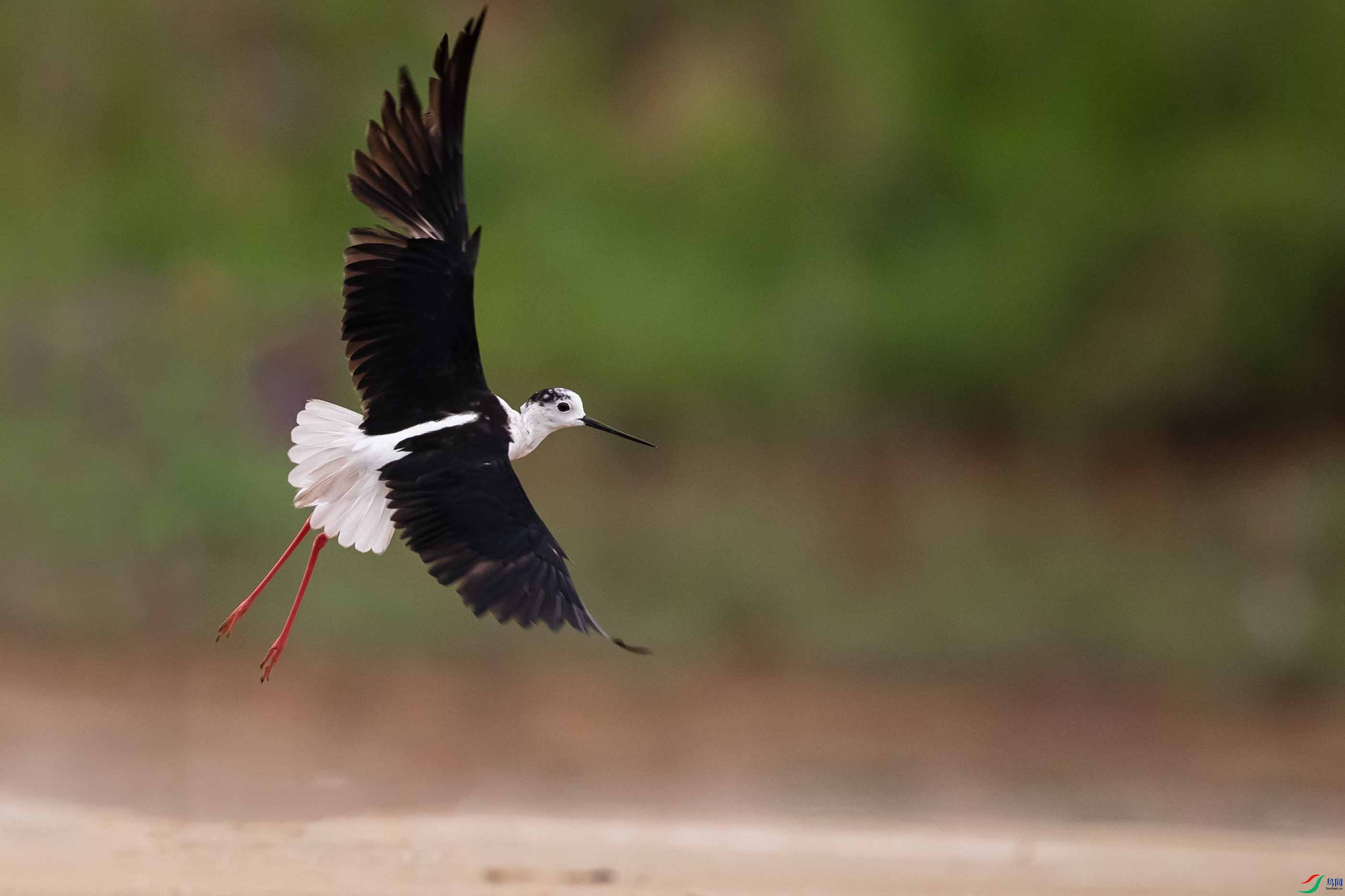 DSC_2166 ����.jpg