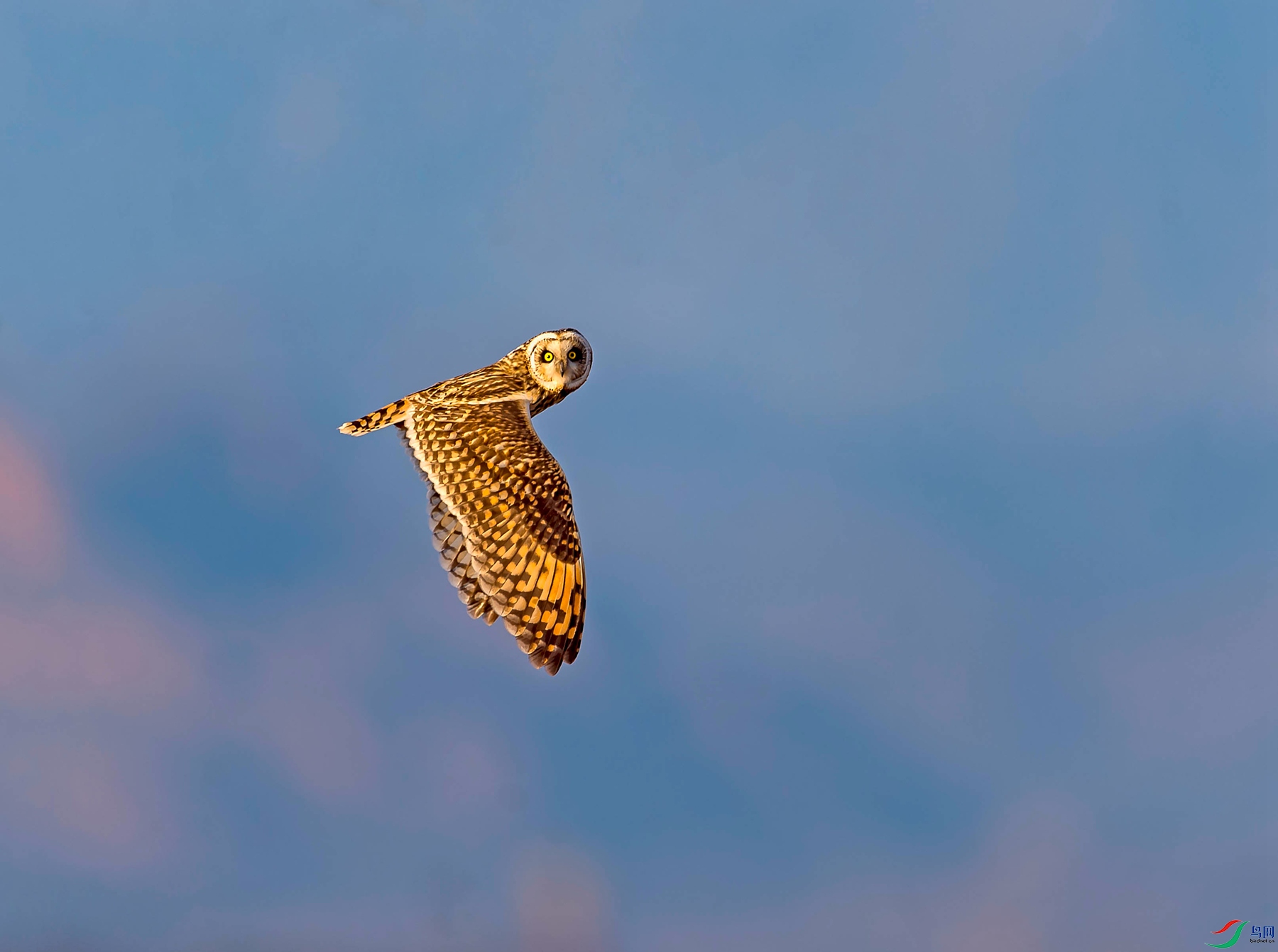 _DSC4350_����.jpg