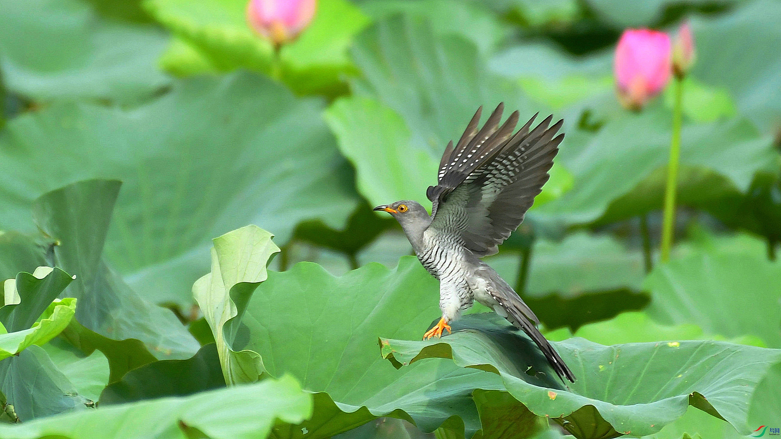 DSC_1400.JPG
