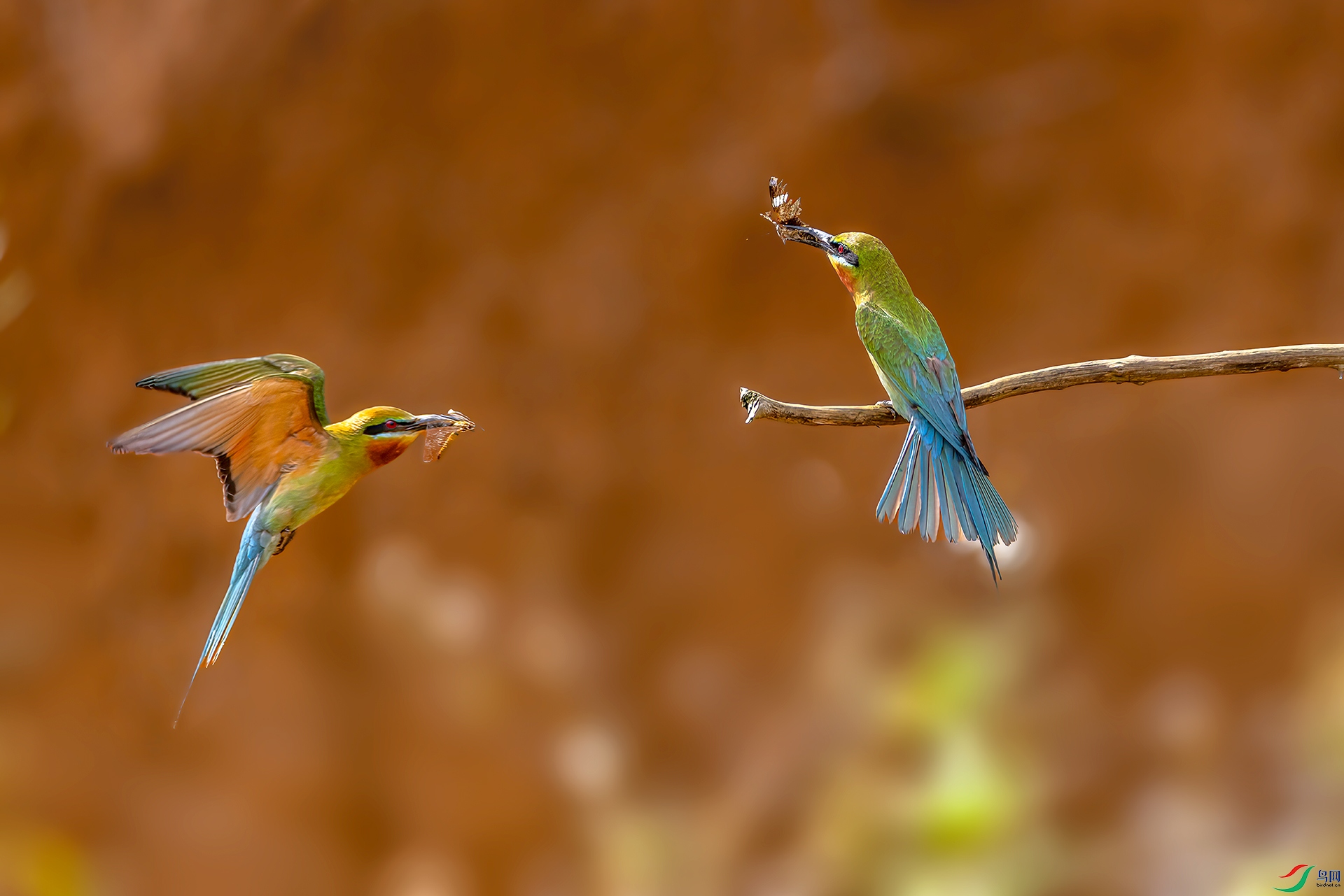 407A6431 ����-Sh-----1 .jpg