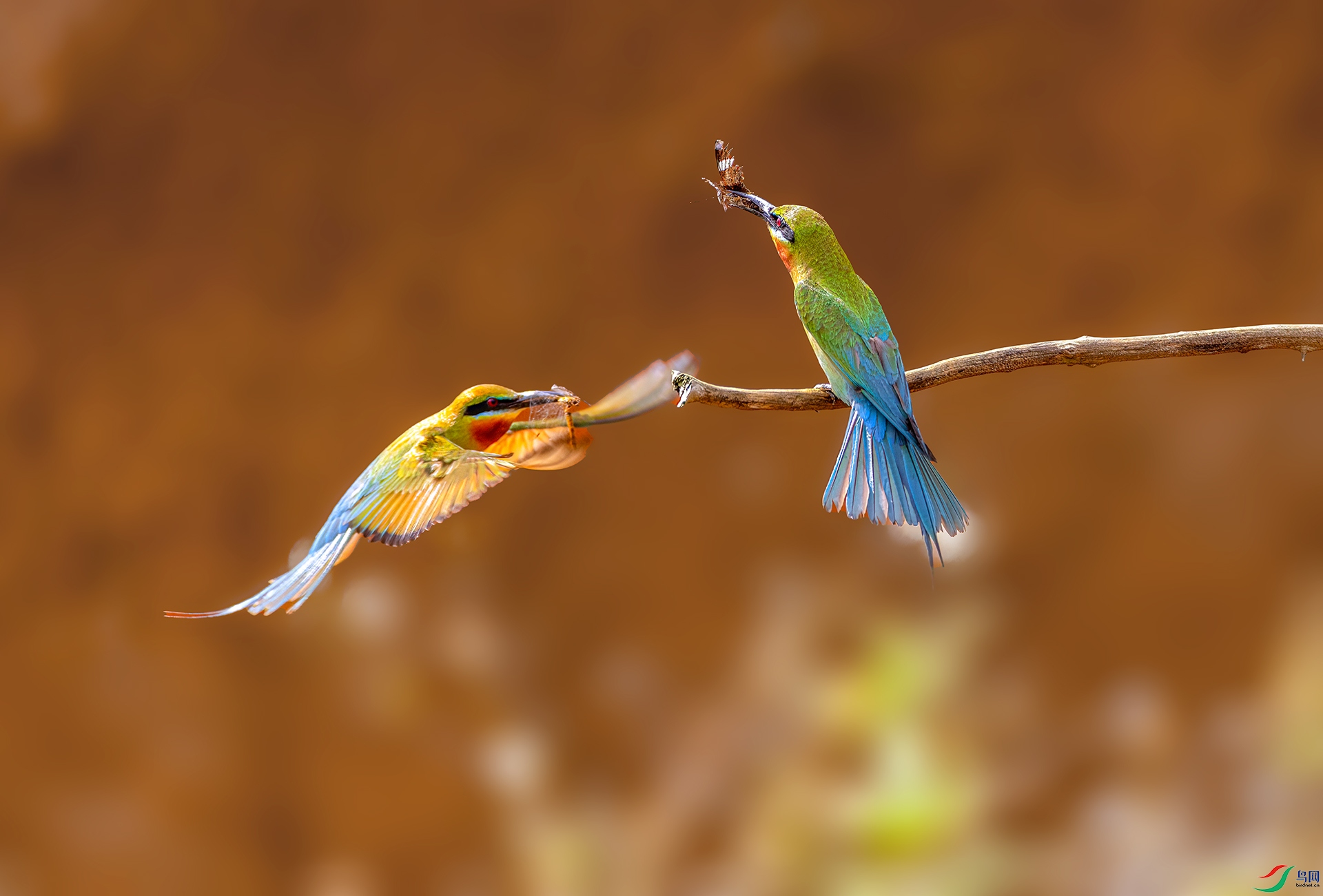 407A6432 ����-Sh---1 .jpg