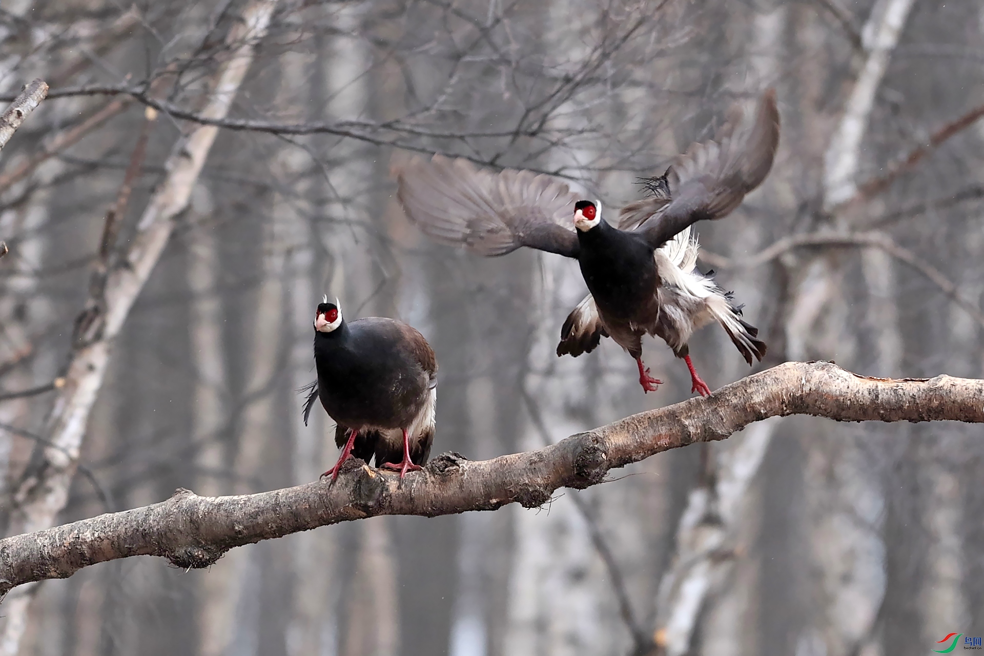 ֦�ϴ���0X5A0597.jpg