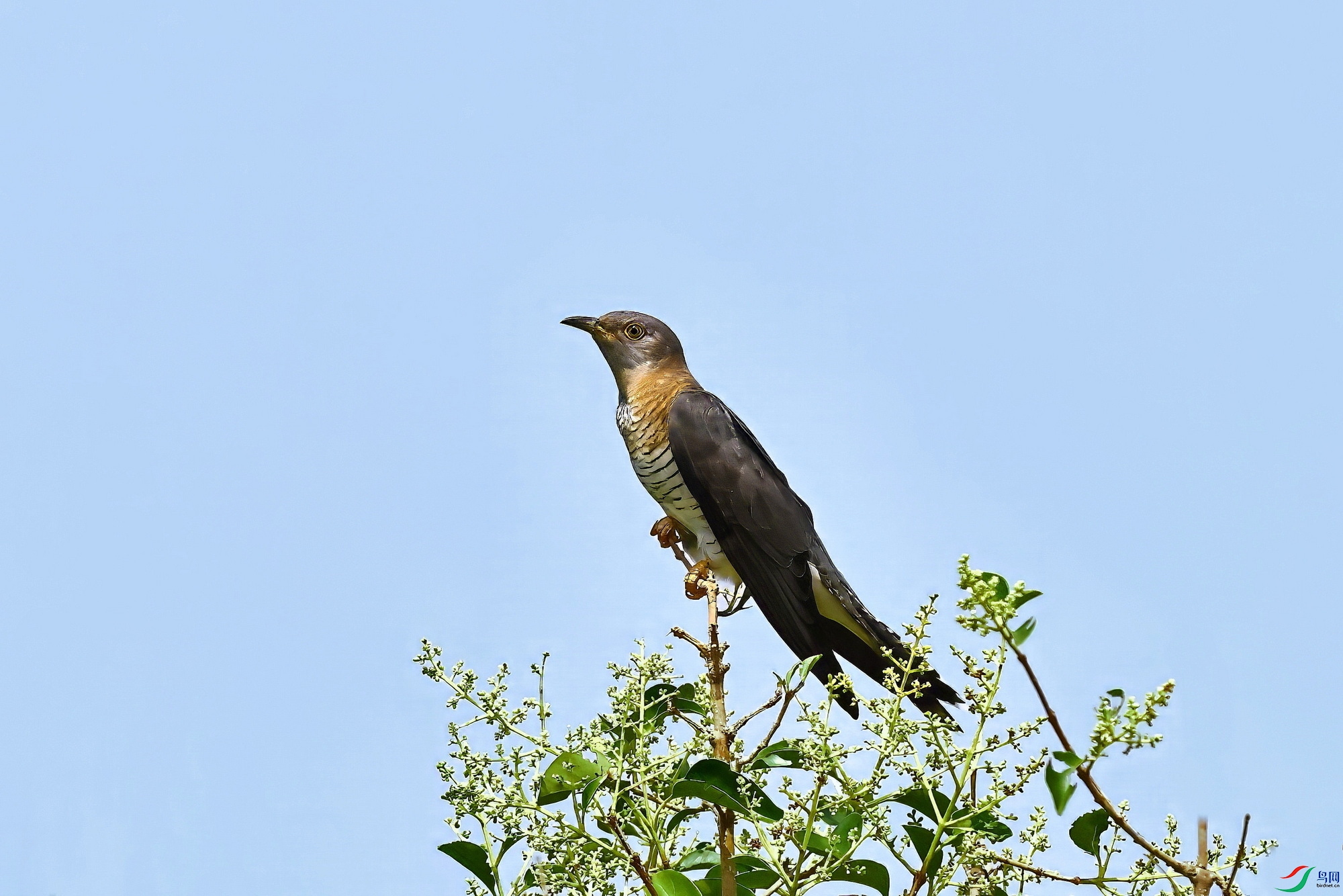 IMG_7672-1.jpg