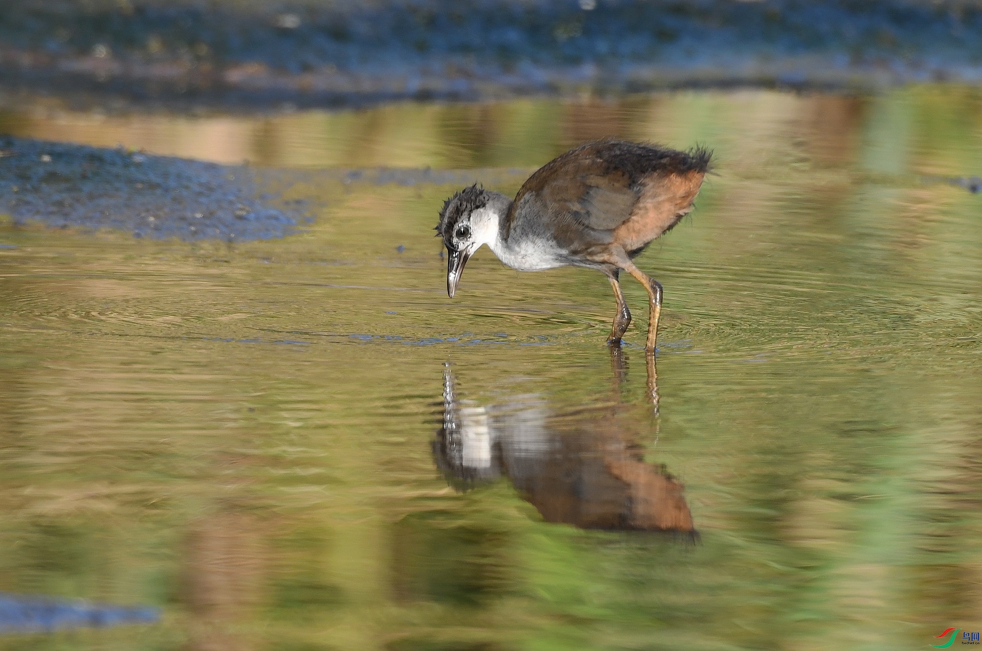 DSC_7605.jpg