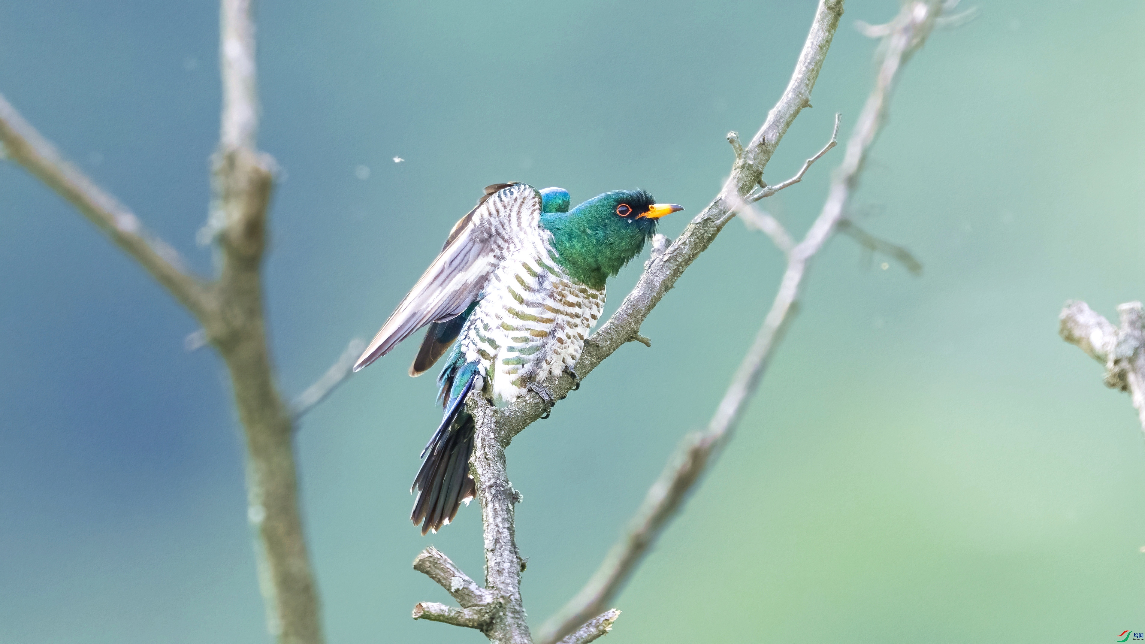 DSC_6320.jpg