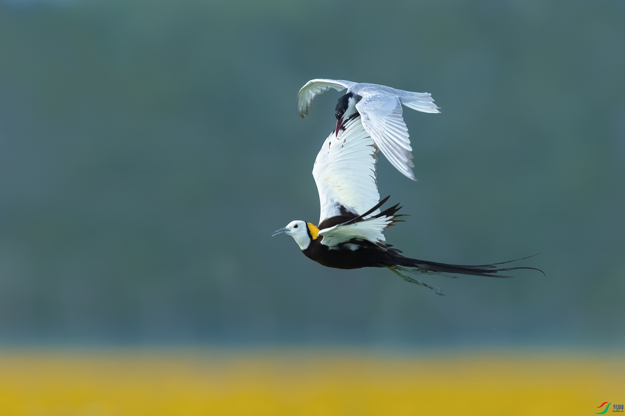 ˮ��ˣ��븡Ÿ----����̫��