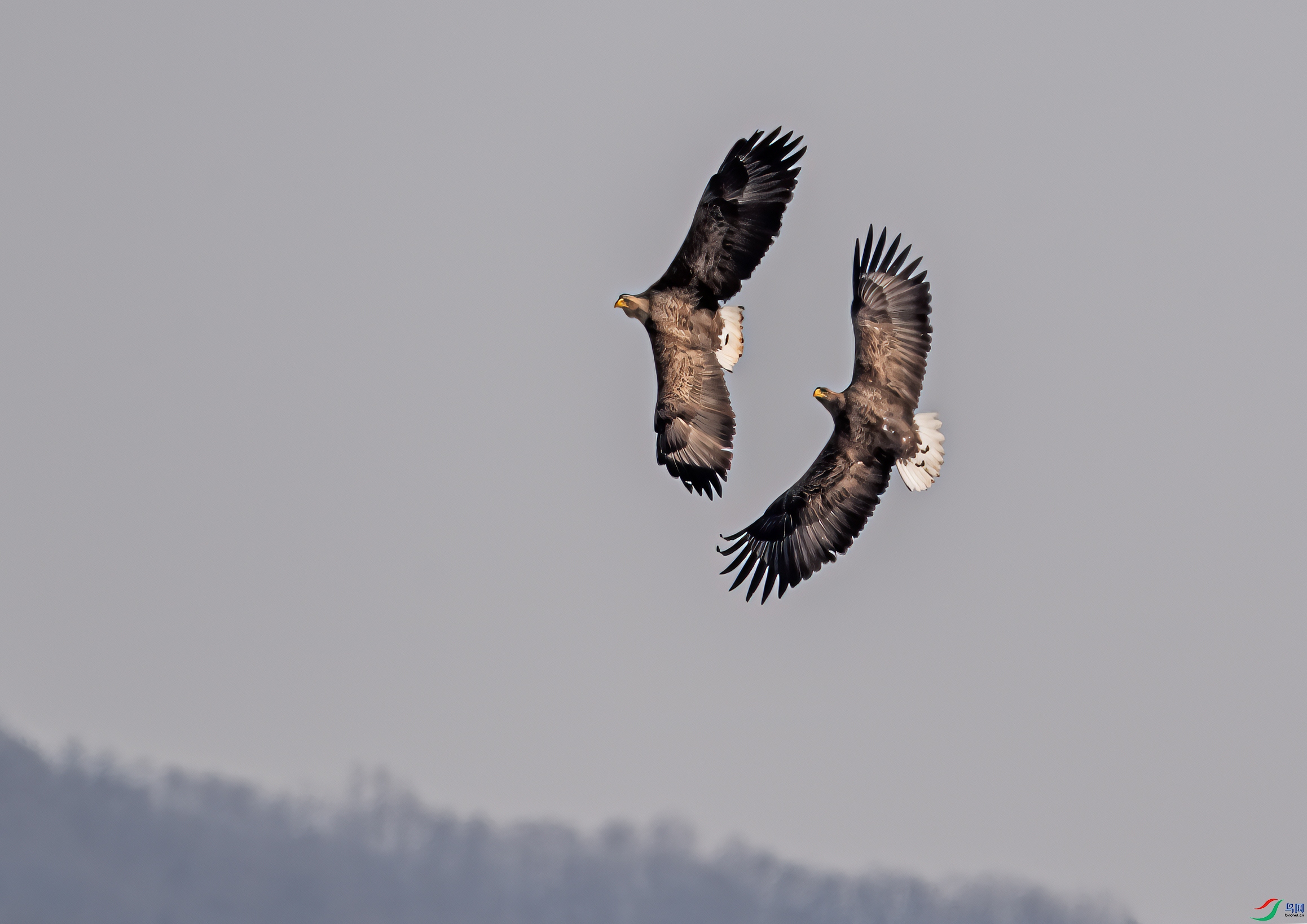DSC_3791-11.jpg
