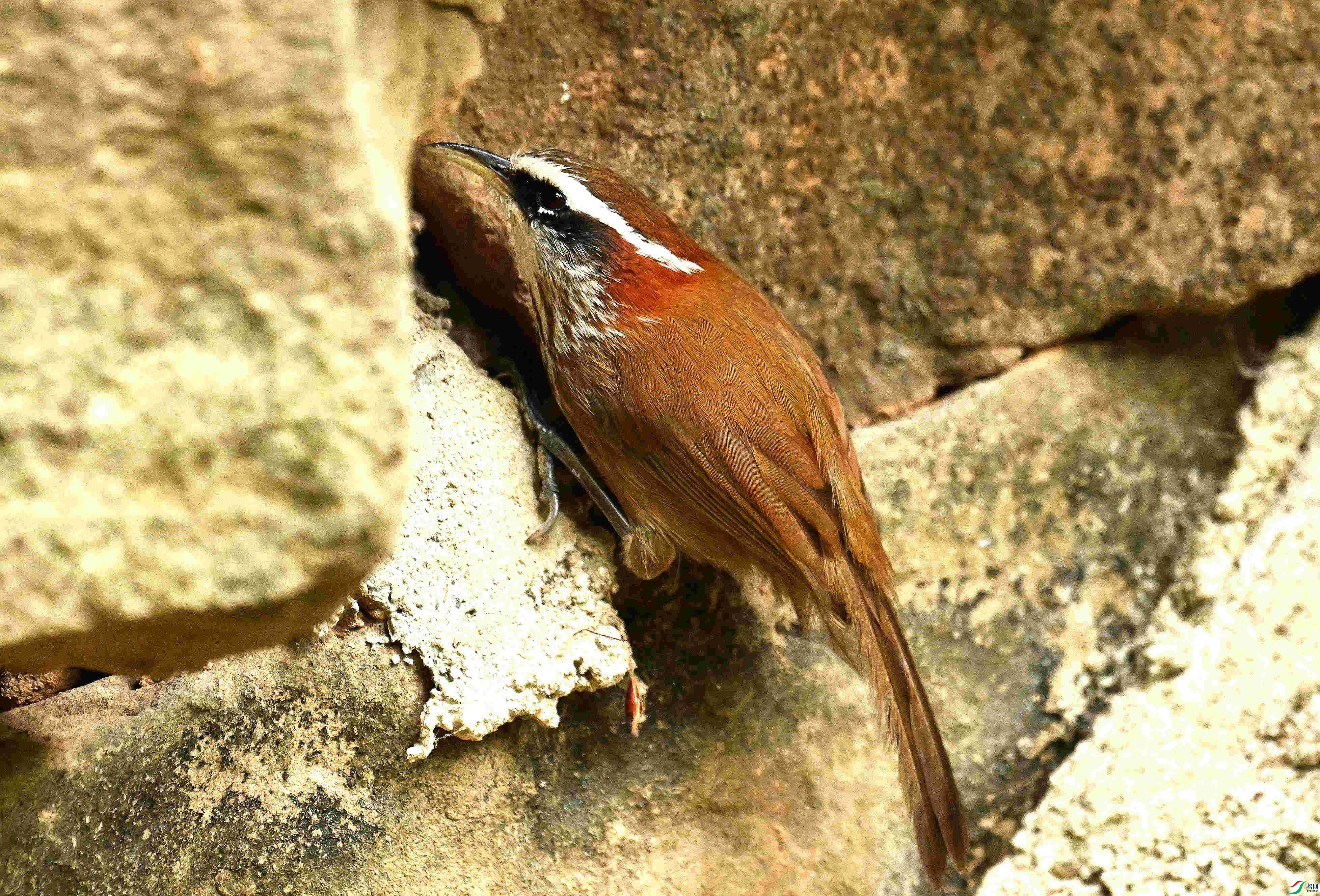 DSC_9192.JPG