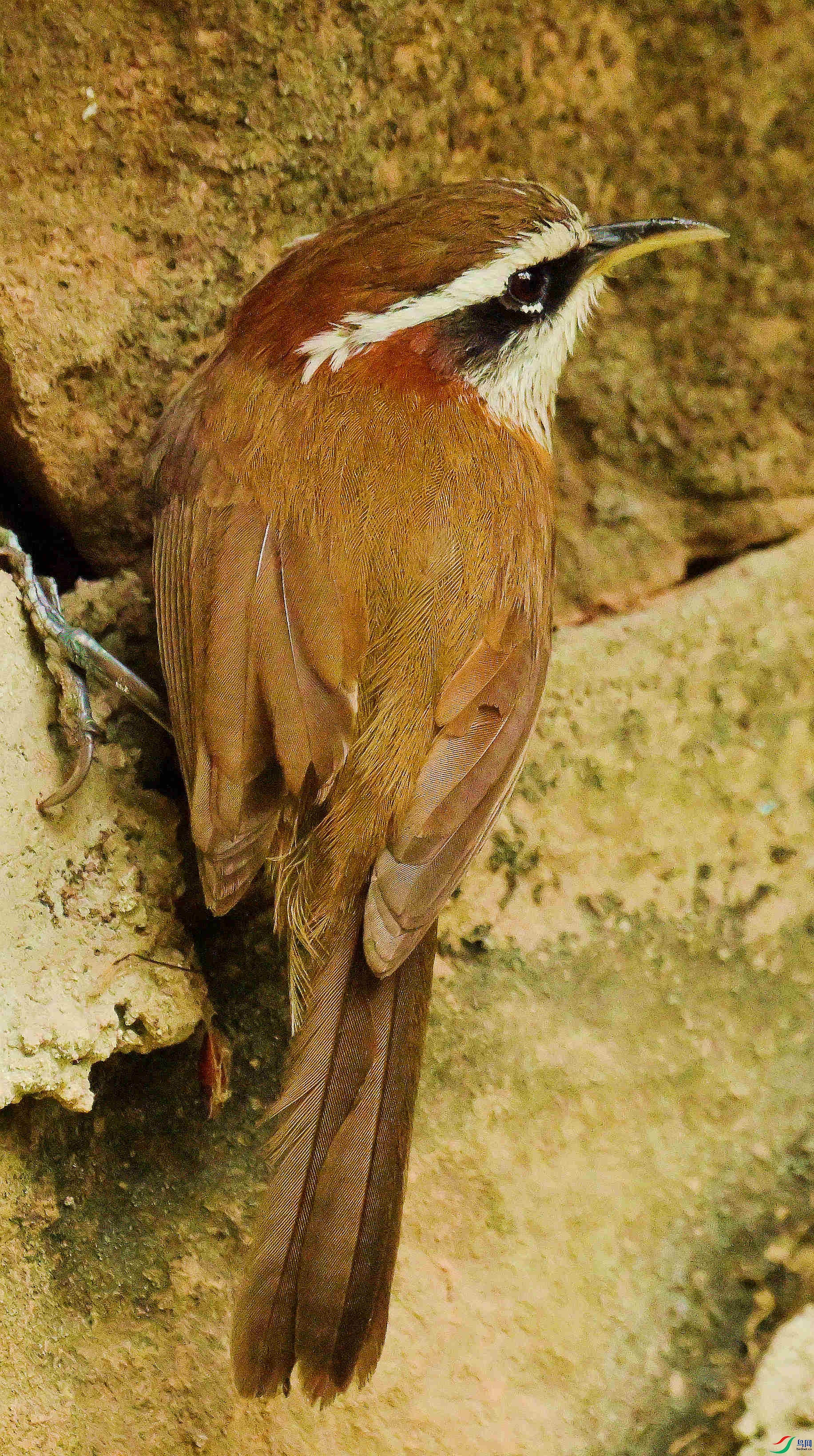 DSC_9238.JPG